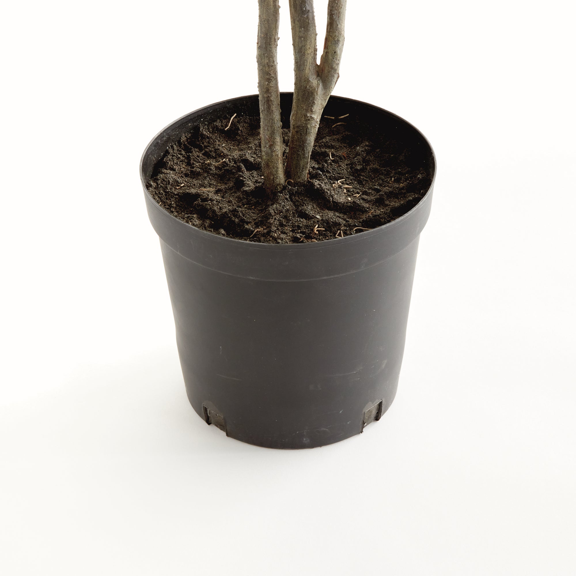 Fiora Tree Drop-in 51"