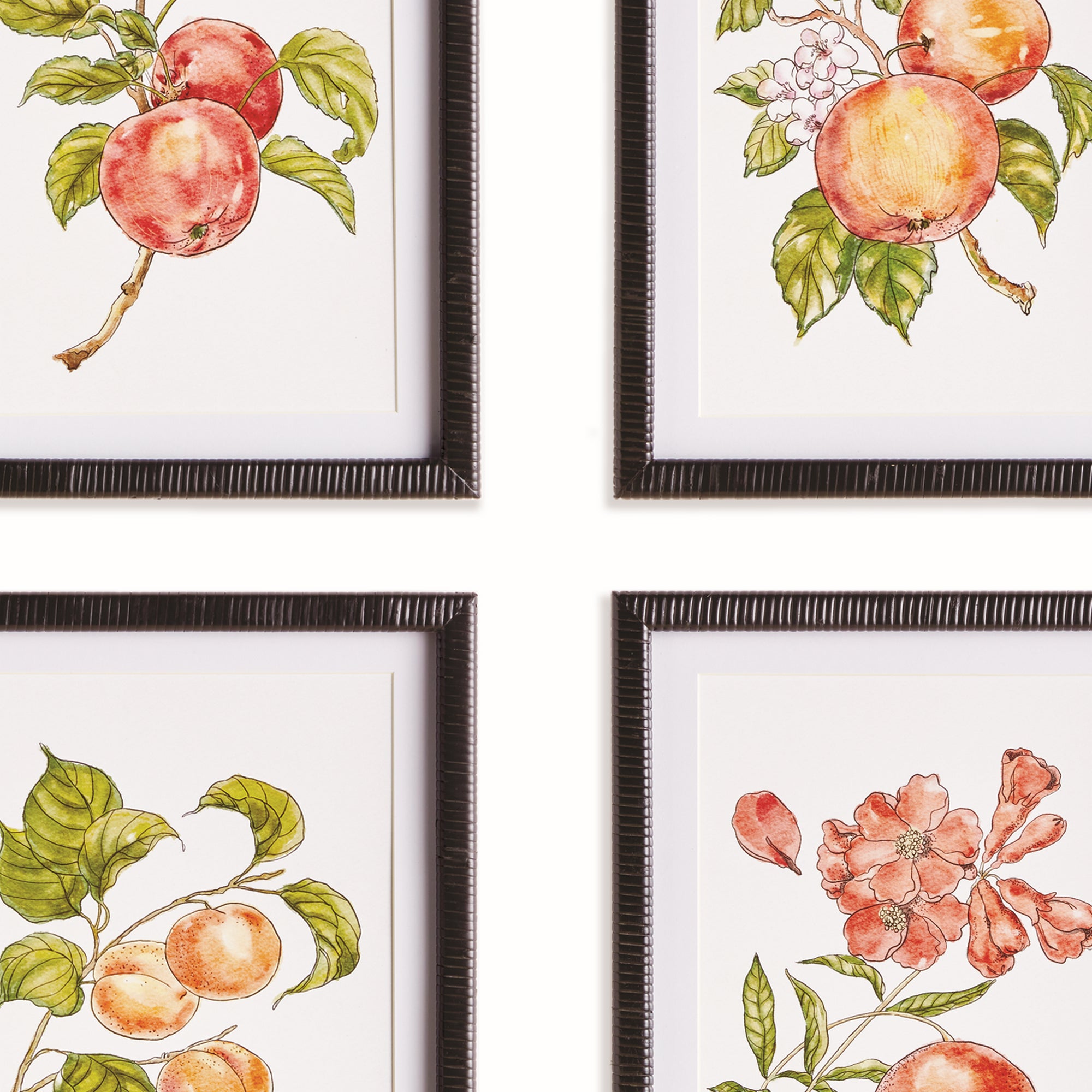 Fallon Fruit Prints, Set of 4