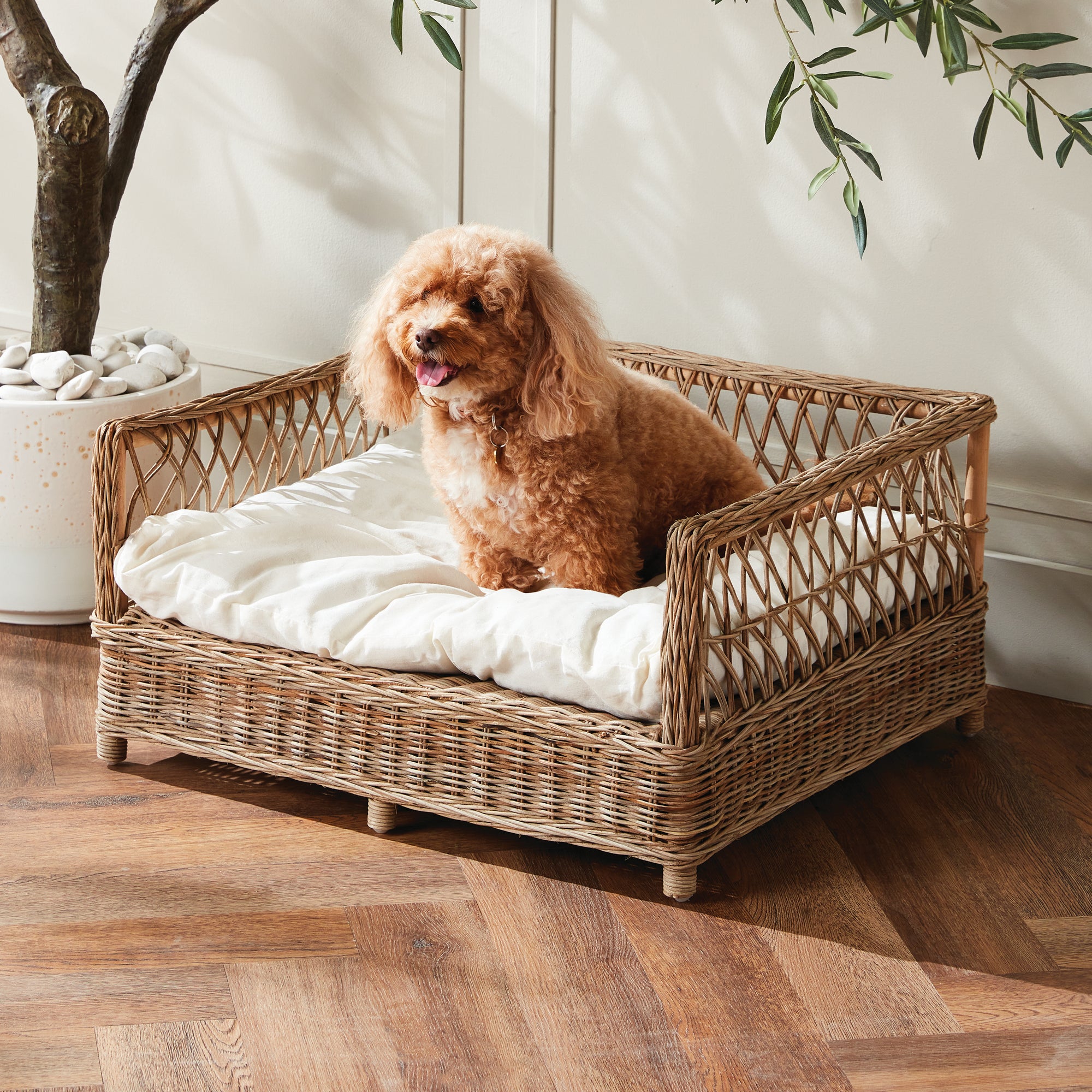 Avery Pet Bed Large