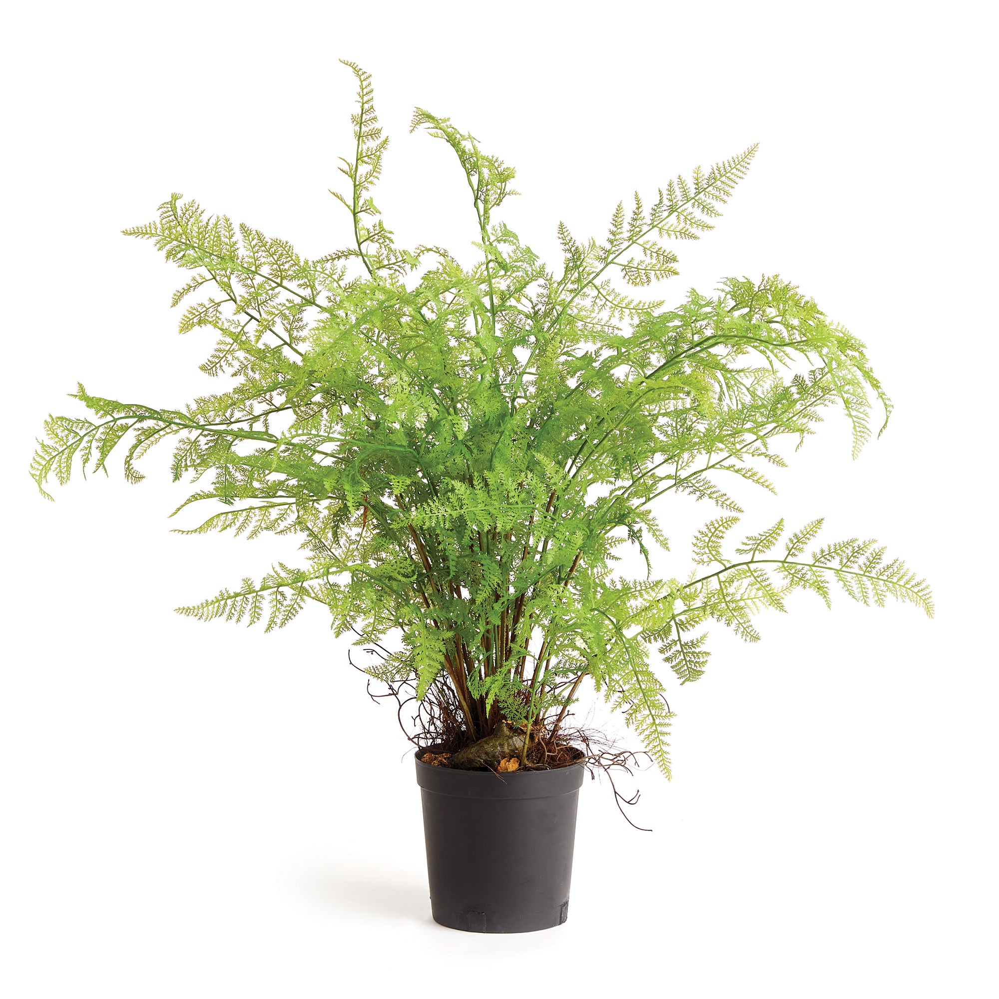 SOFT FERN DROP-IN 36""
