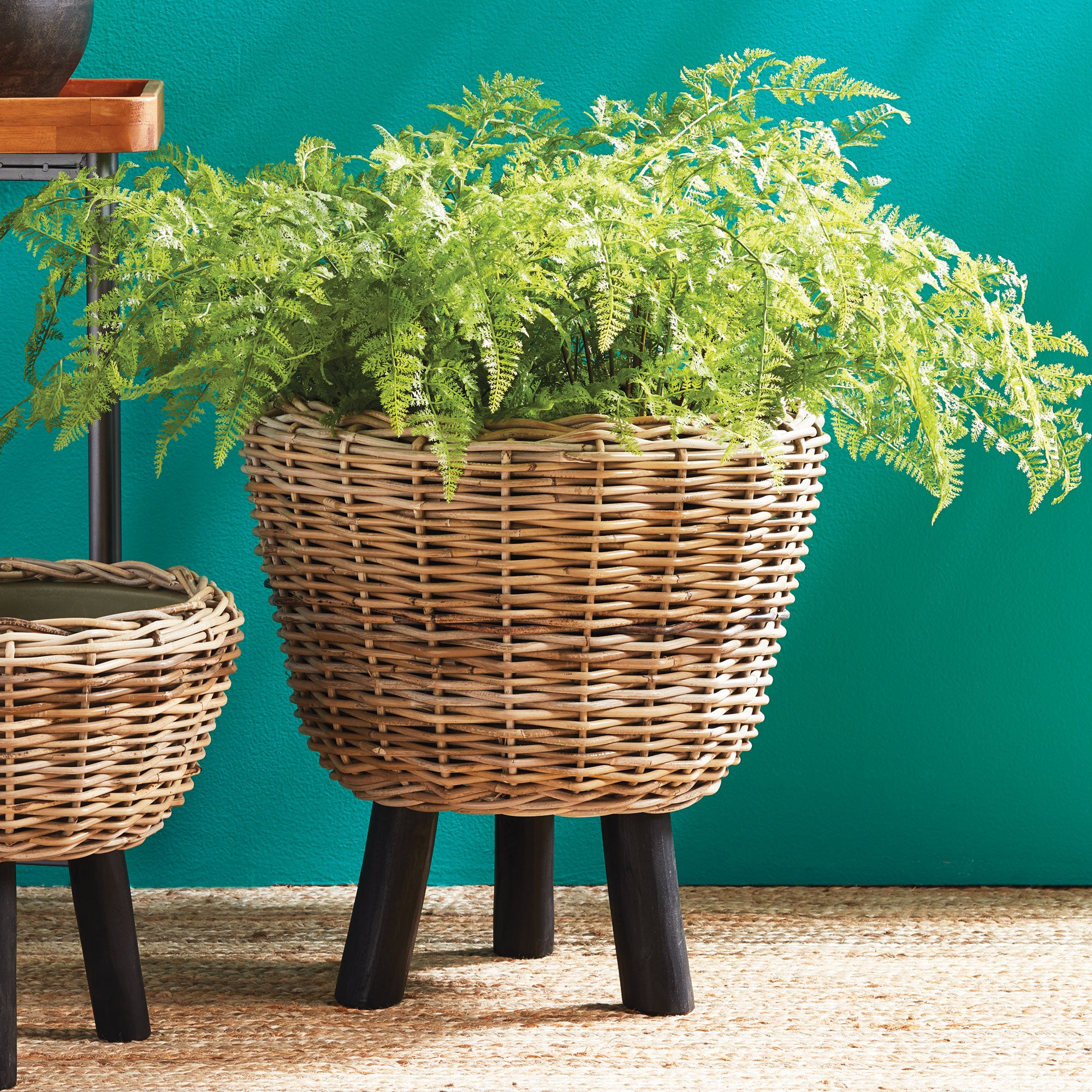 SOFT FERN DROP-IN 36""