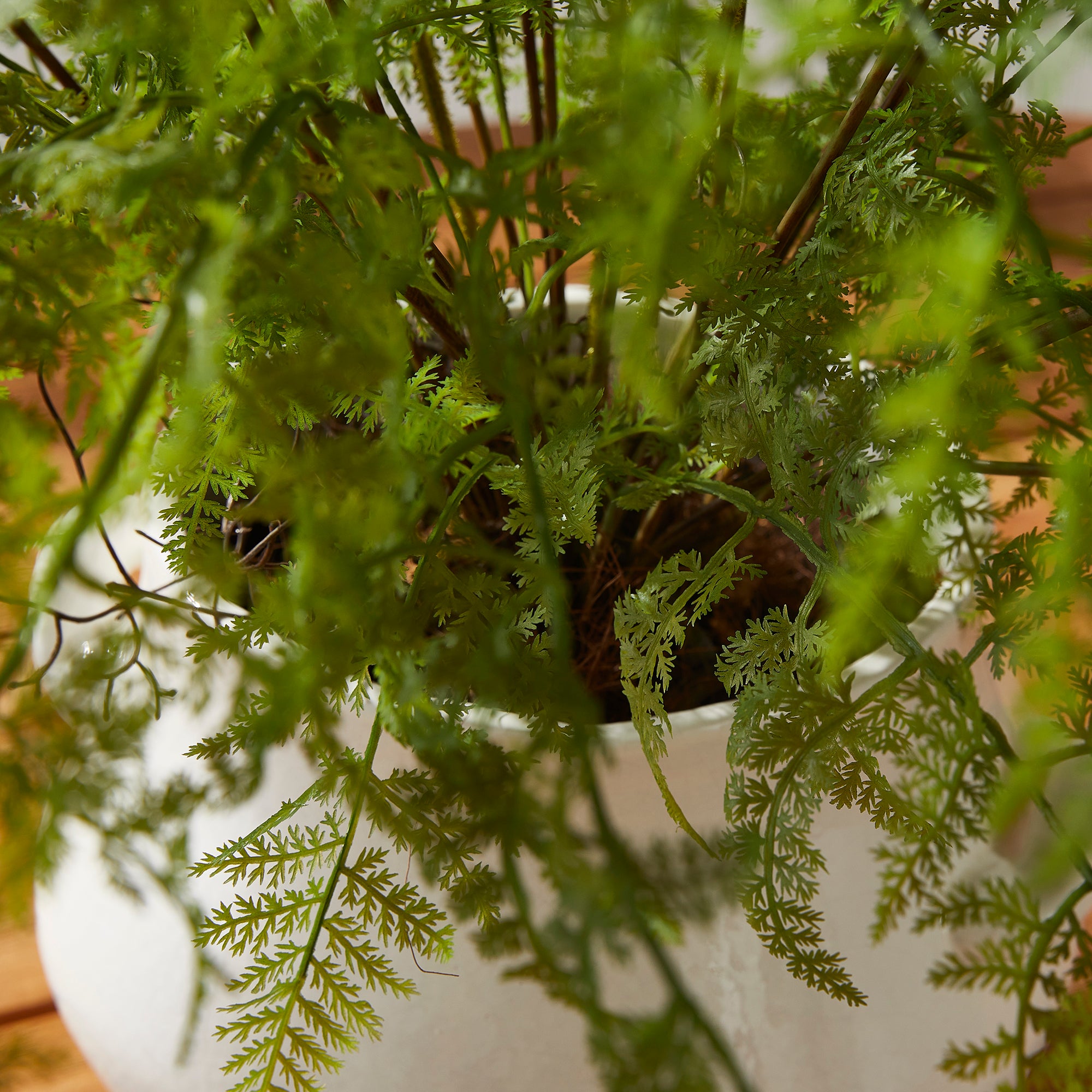 SOFT FERN DROP-IN 36""
