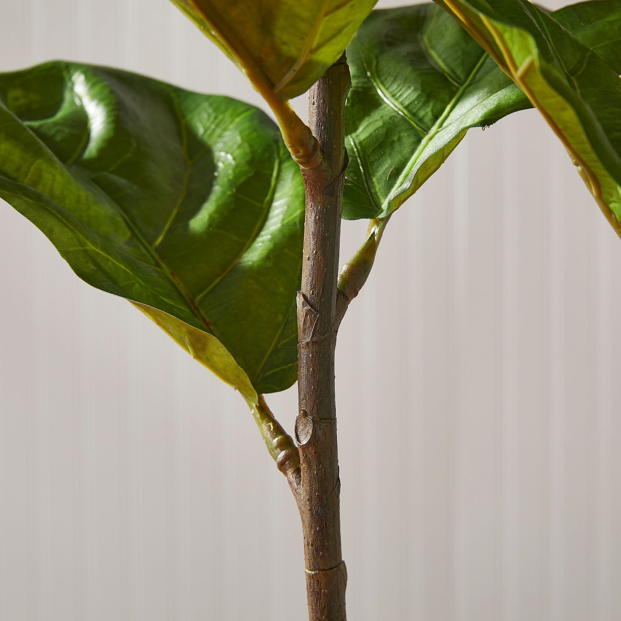 Kellan Fiddle Leaf Fig Potted 43"