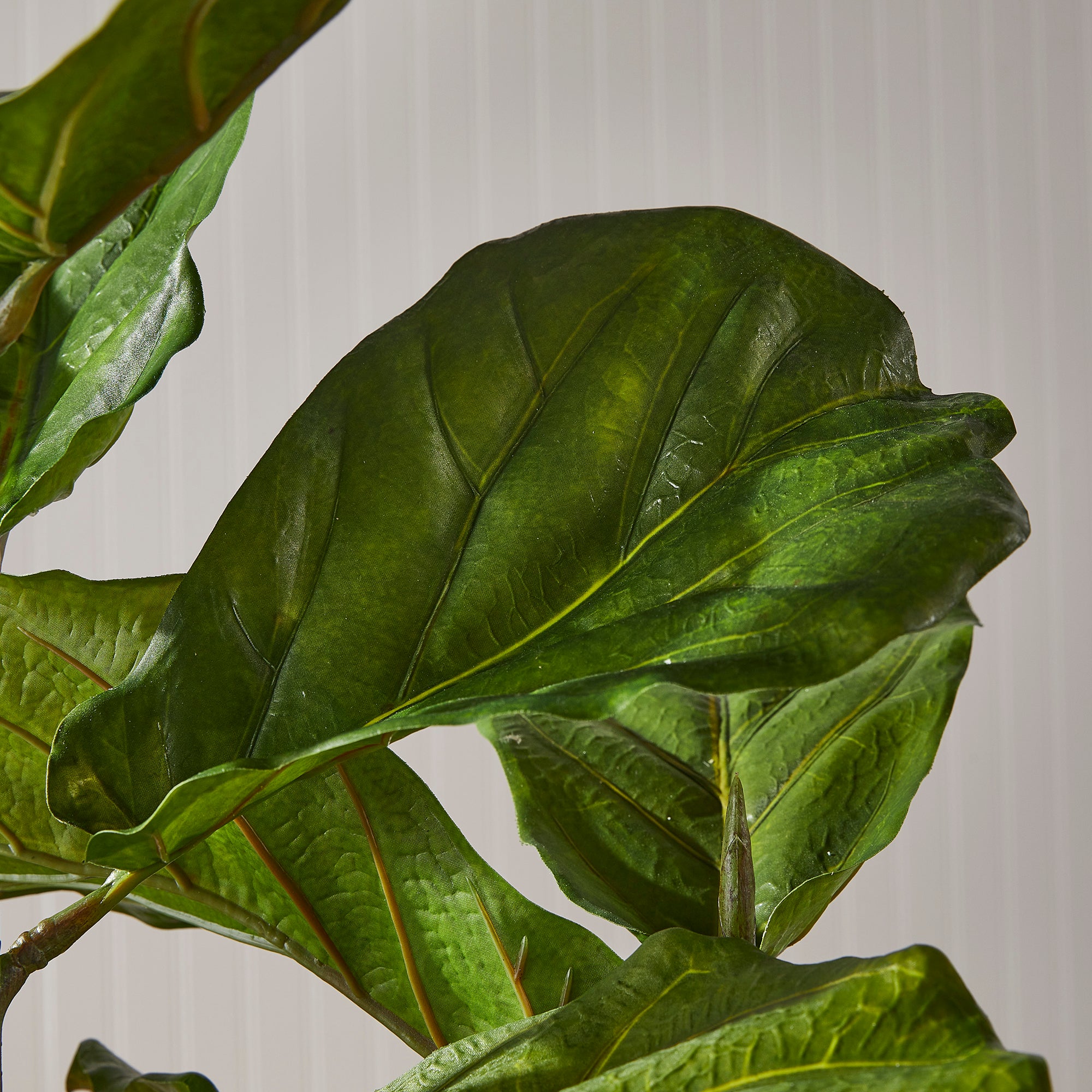Kellan Fiddle Leaf Fig Potted 43"