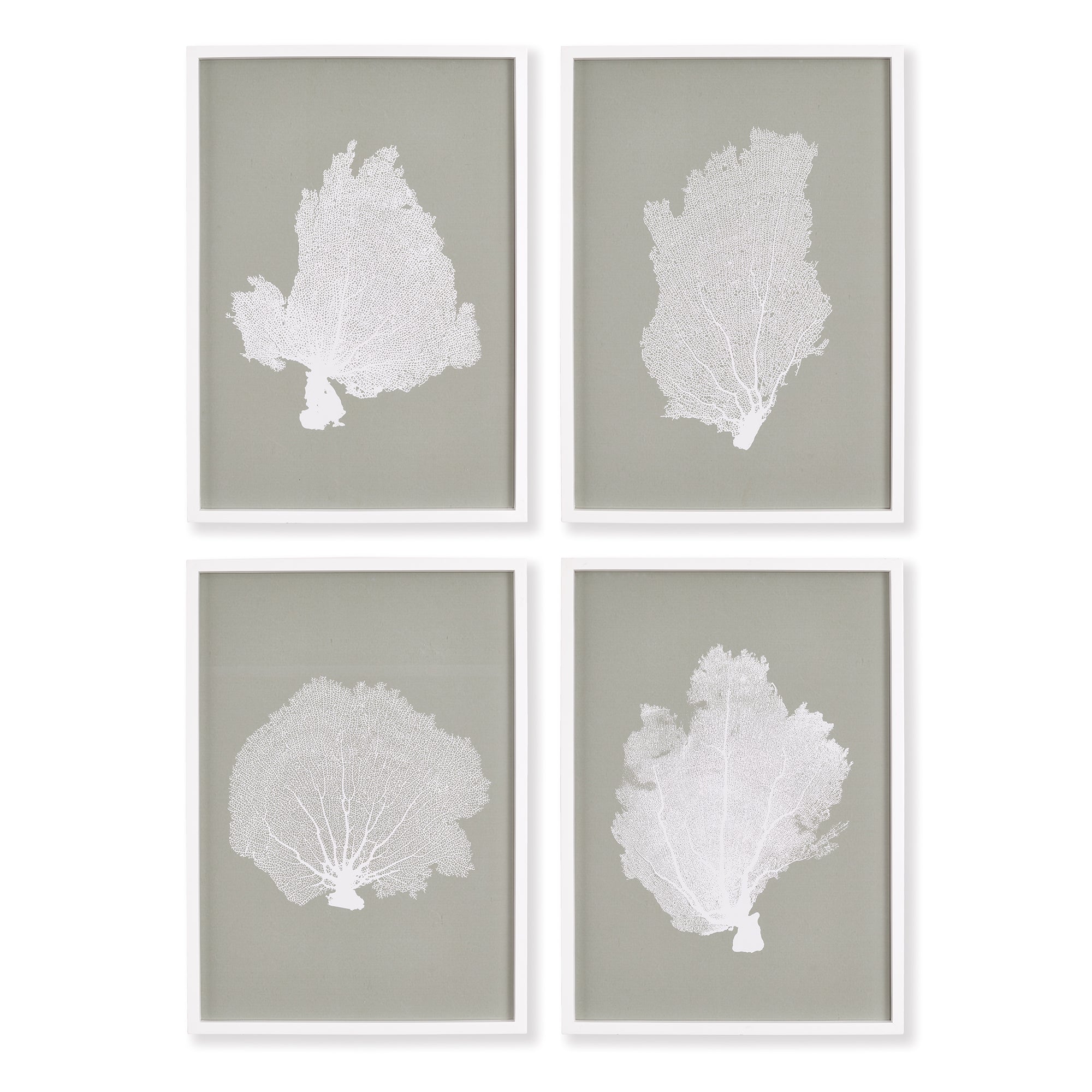 Carrie Coral Fan Prints Set of 4