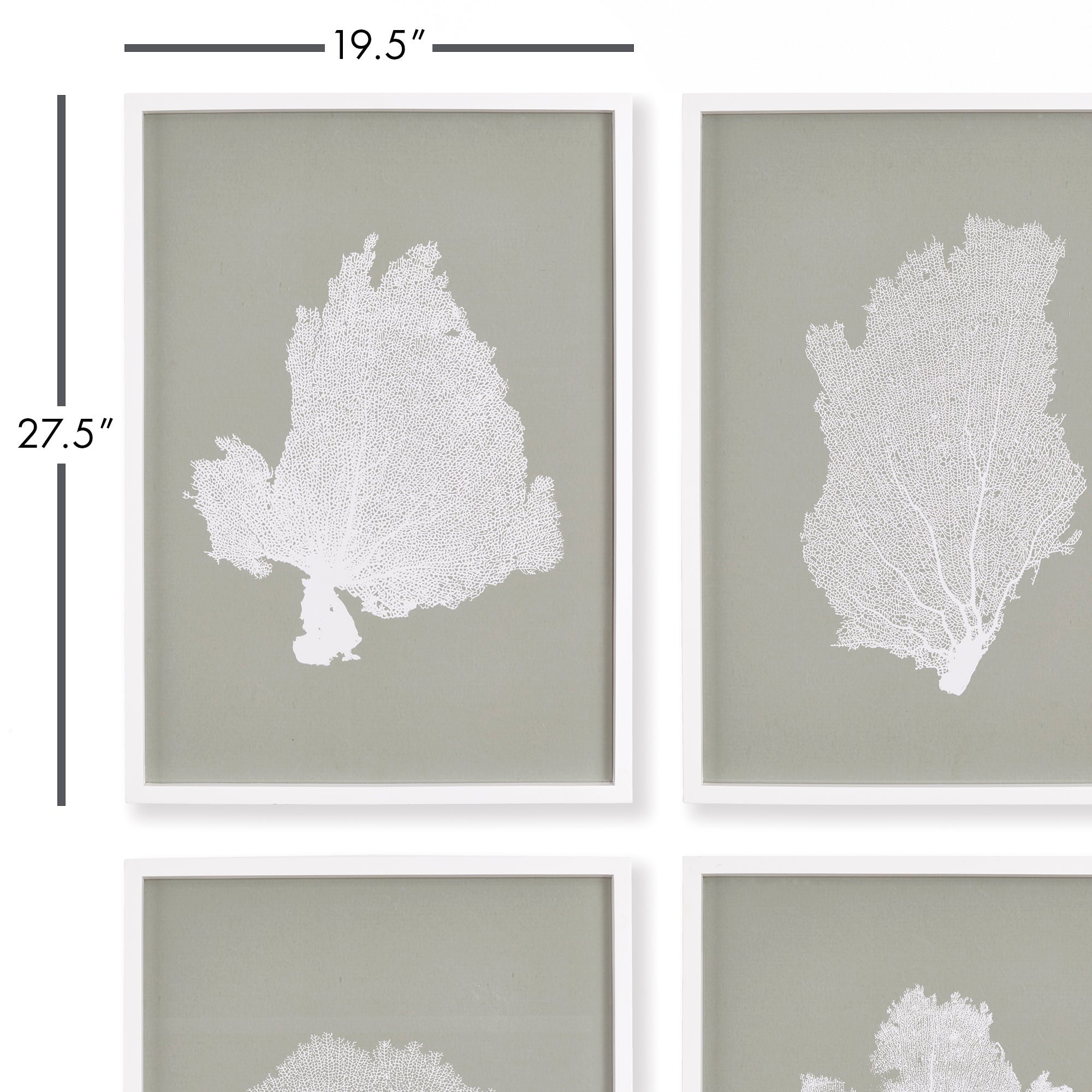 Carrie Coral Fan Prints Set of 4