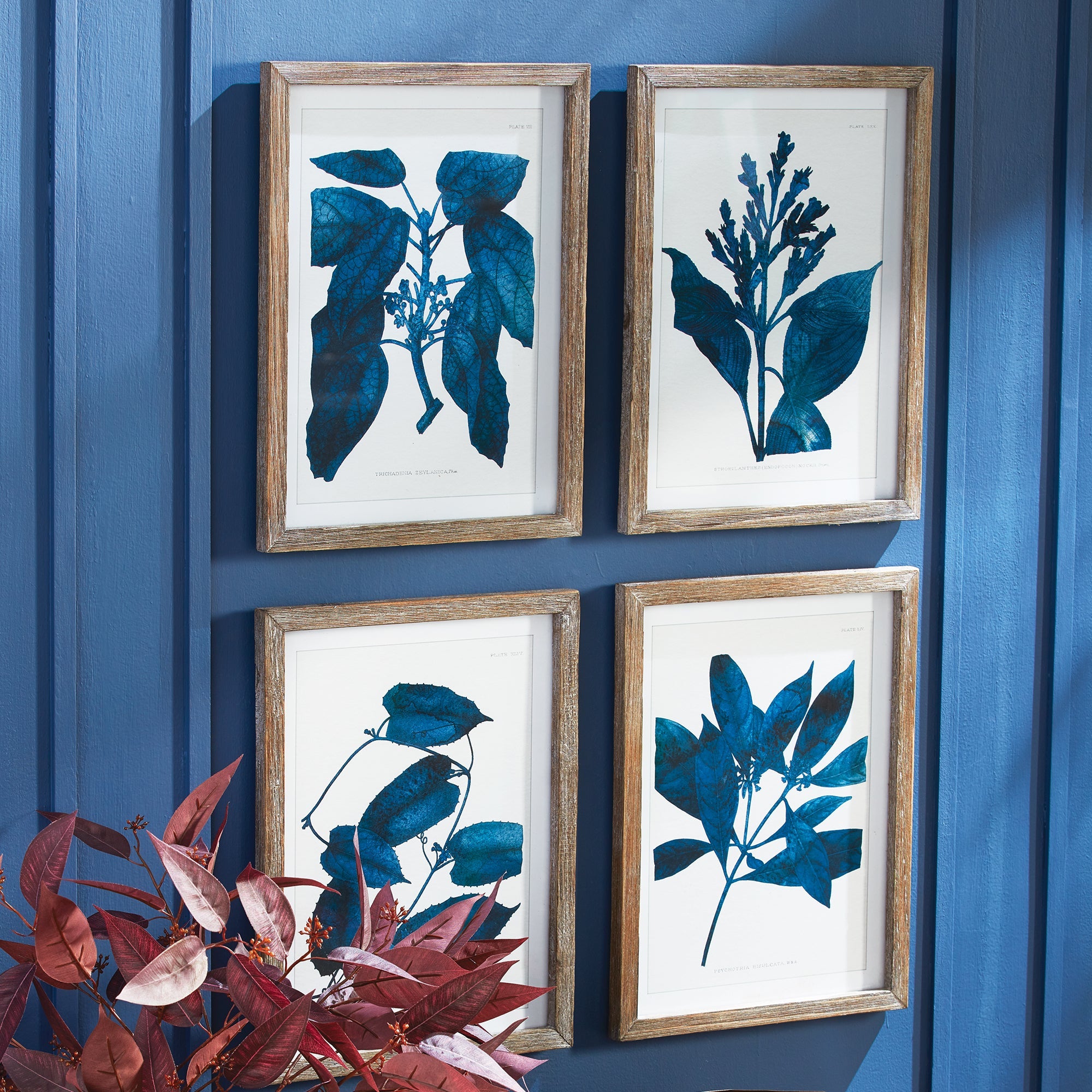 Cobalt Botanicals, Set of 4