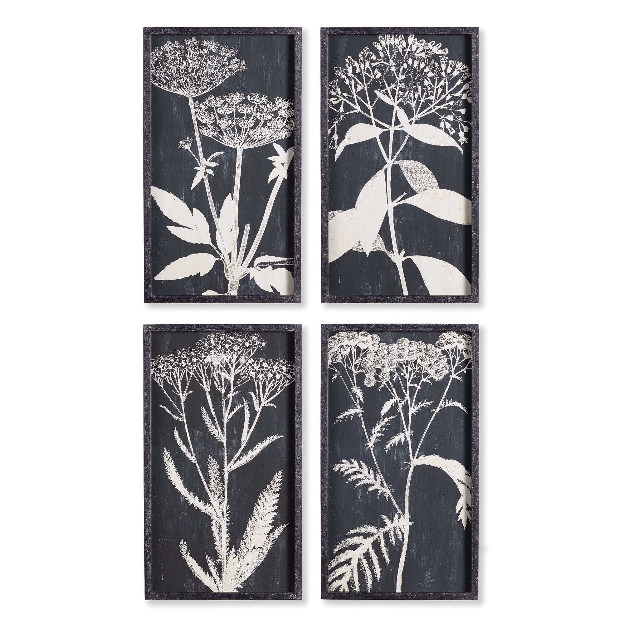 Regina Monochroma Queen Anne's Lace Prints, Set of 4