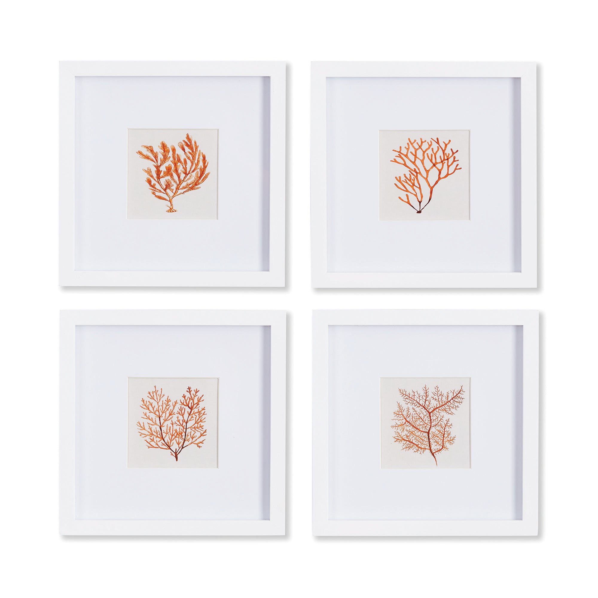 Noa Coral Petite Prints Set of 4