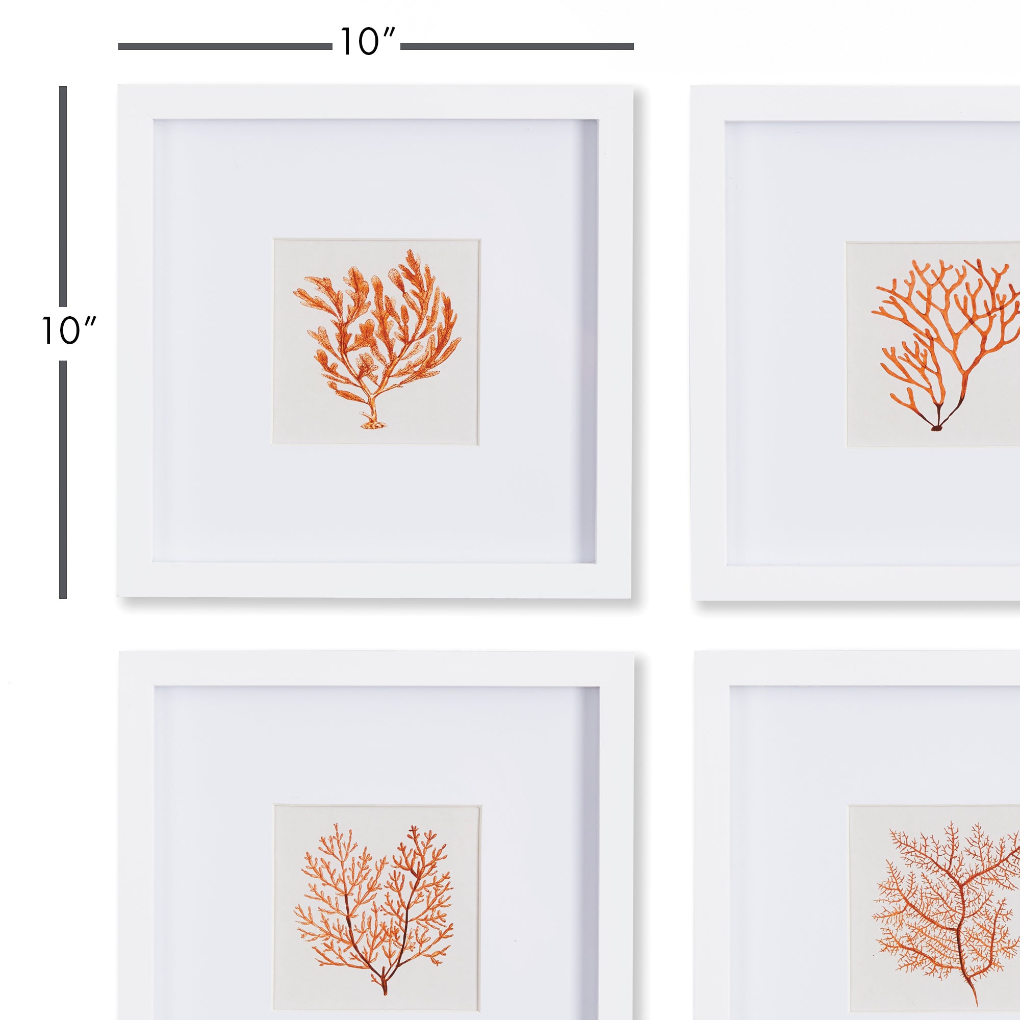 Noa Coral Petite Prints Set of 4