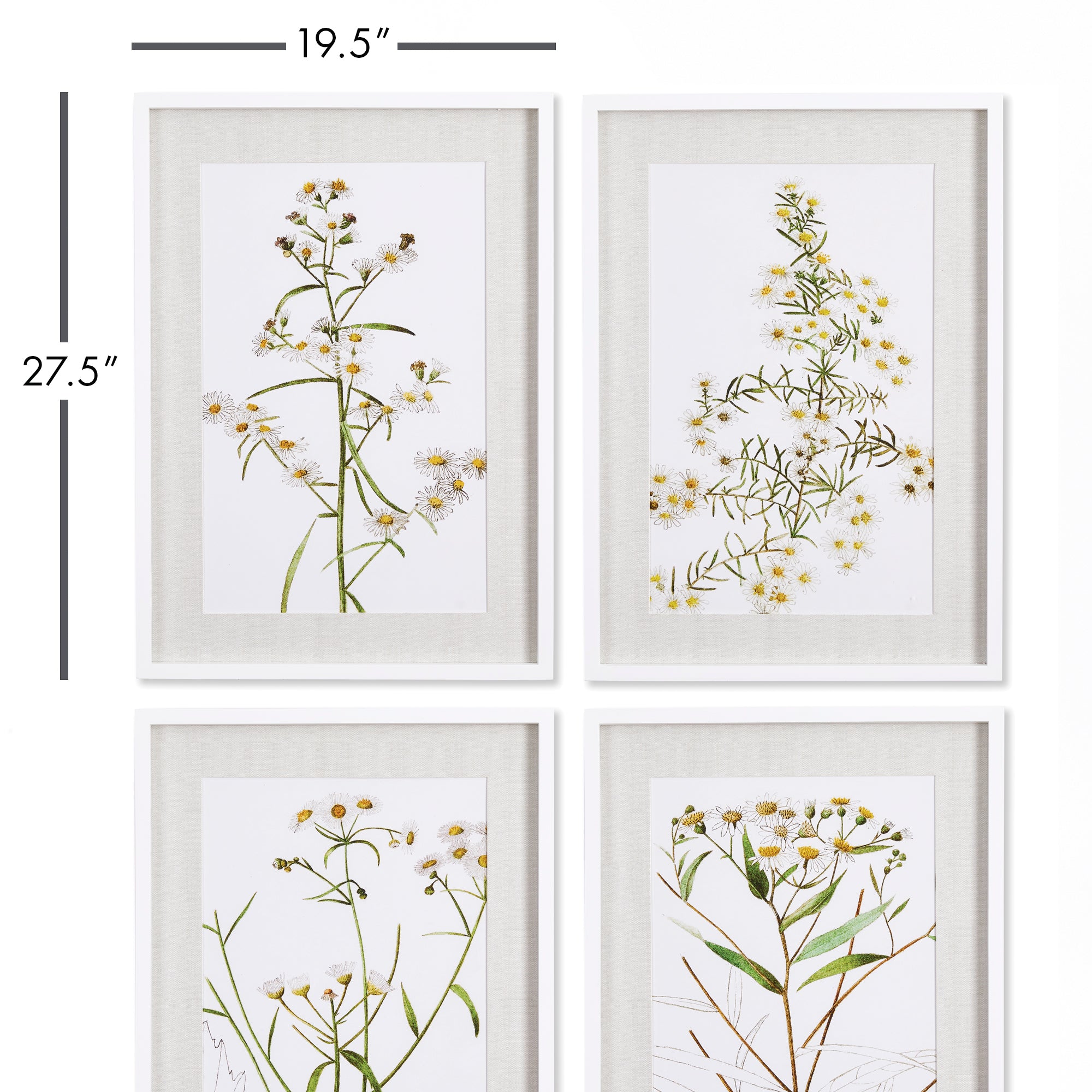 Blooming Daisy Prints Set of 4