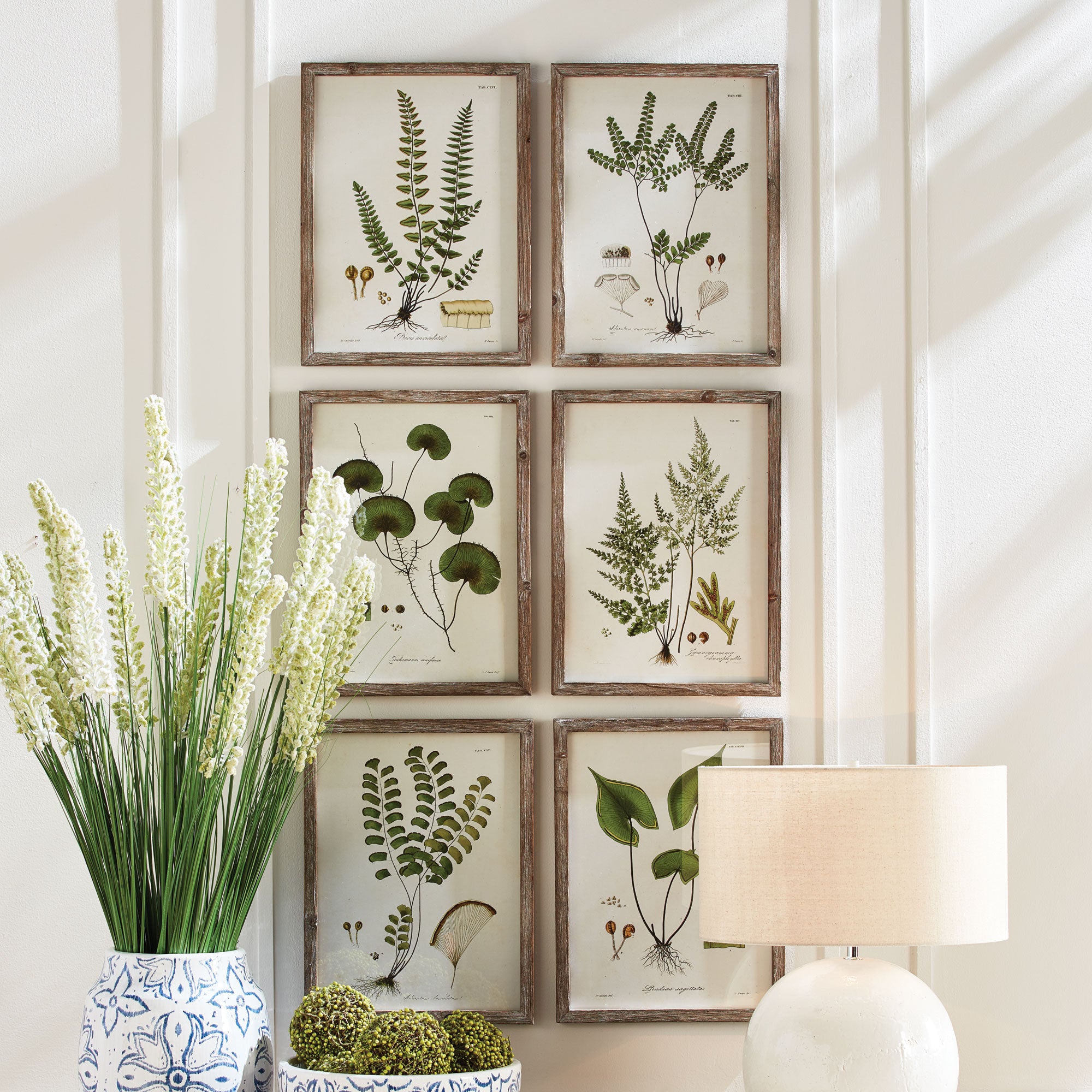 SHADE GARDEN STUDY, SET OF 6