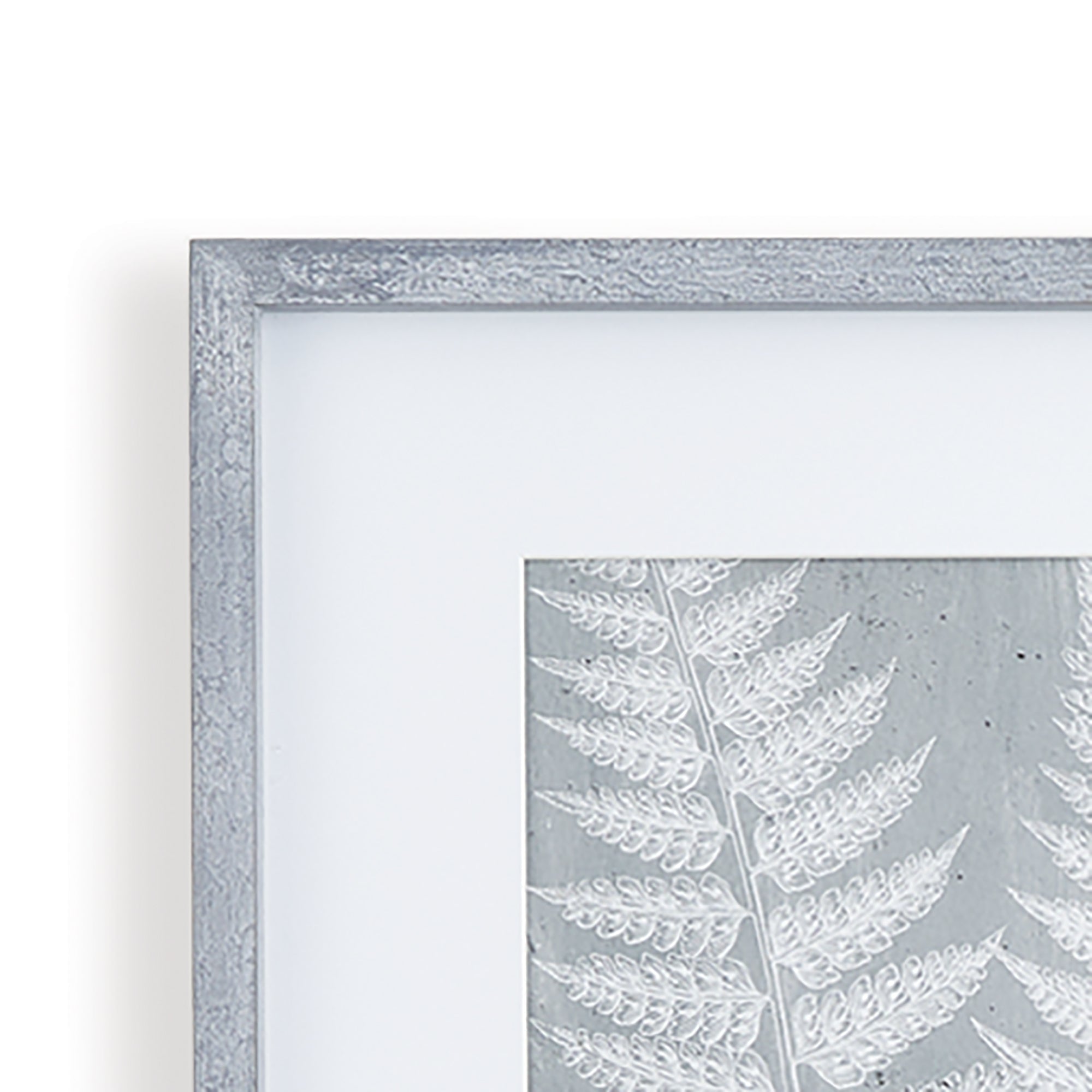 House of Ferns Prints, Set of 3