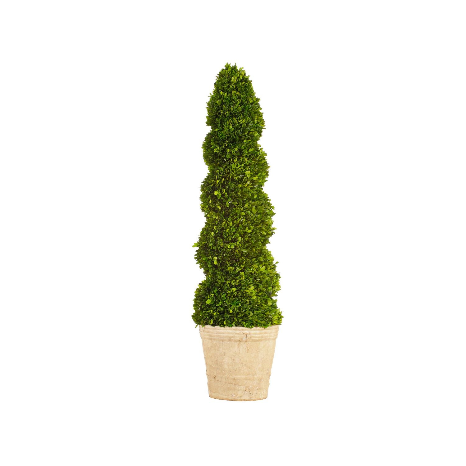 BOXWOOD SPIRAL TOPIARY 51'' (GREEN)