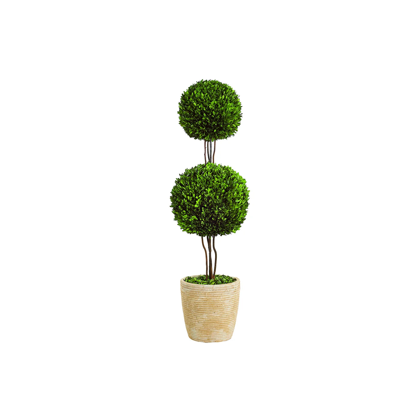 BOXWOOD DOUBLE BALL TOPIARY 39'' (GREEN)