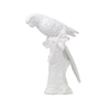 PARROT WHITE