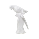 PARROT WHITE