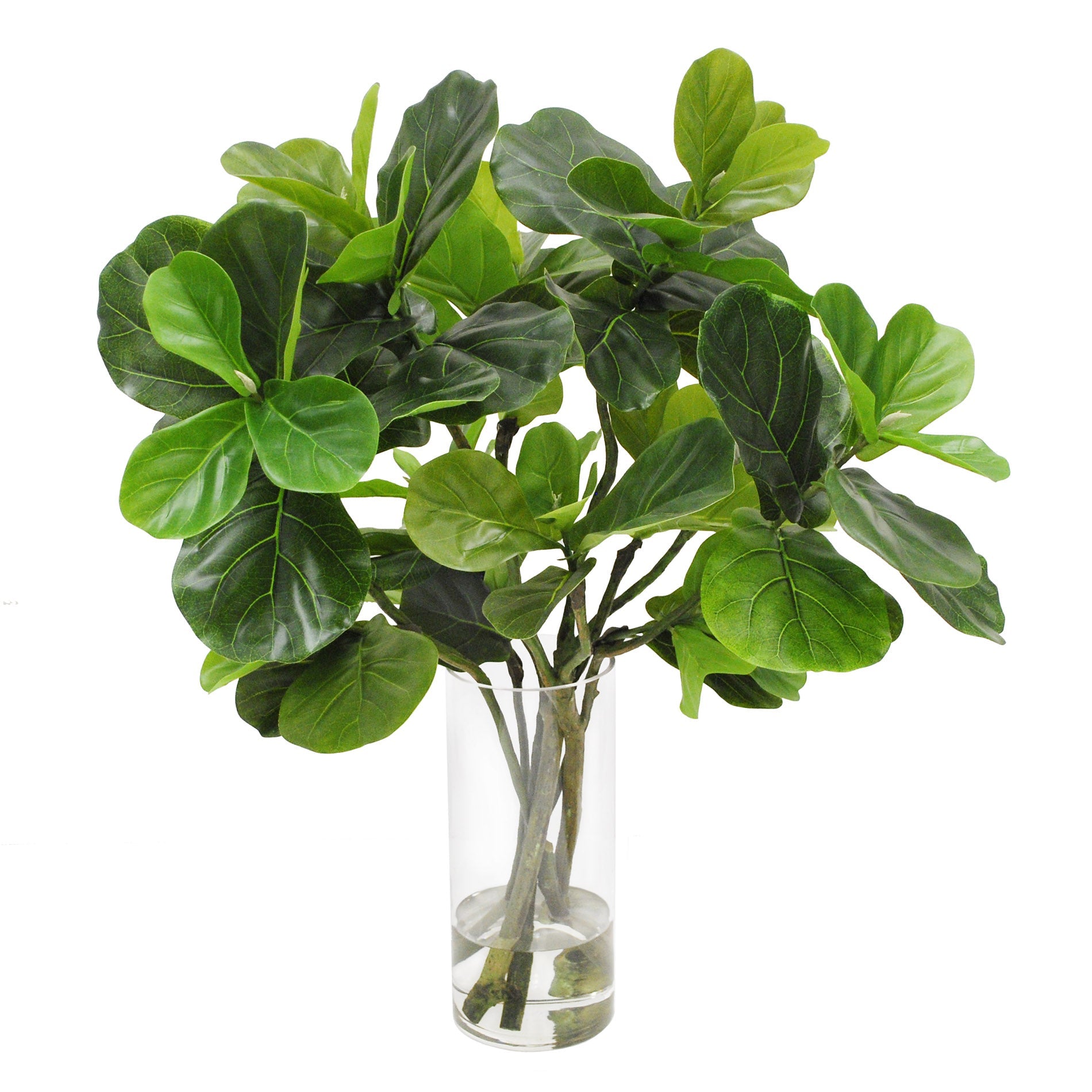 FIDDLE LEAF IN VASE (GREEN)