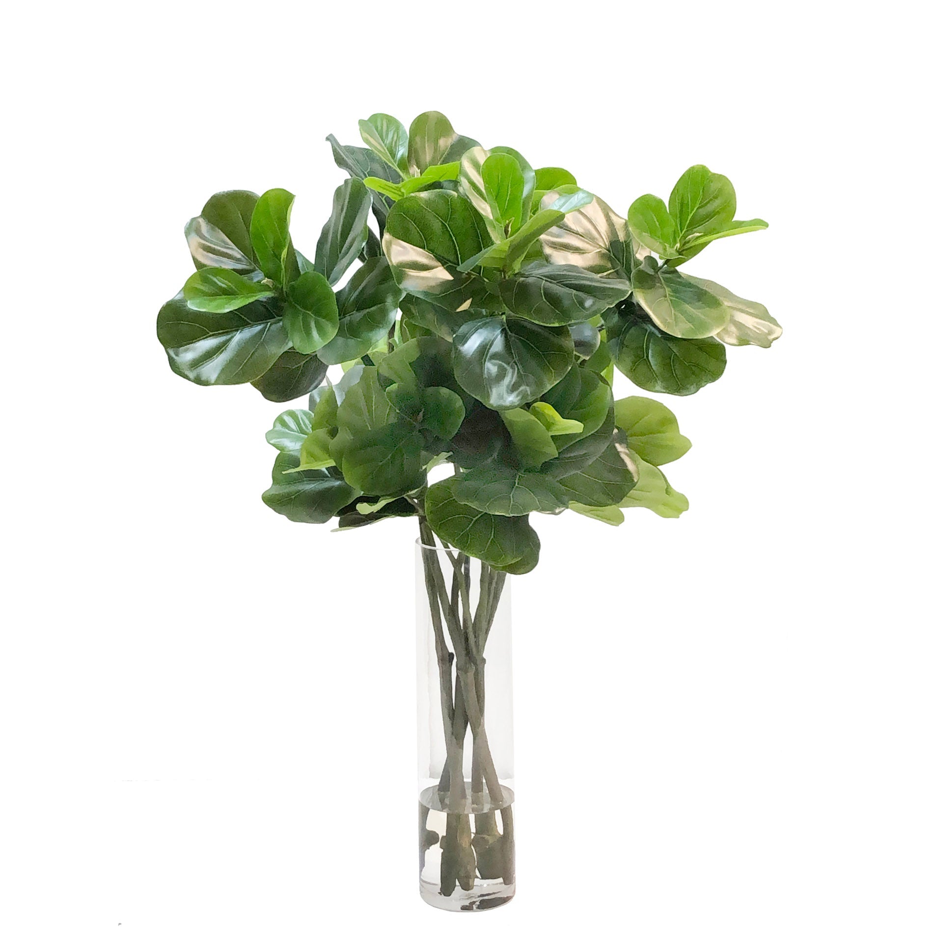 FIDDLE LEAF IN VASE (GREEN)