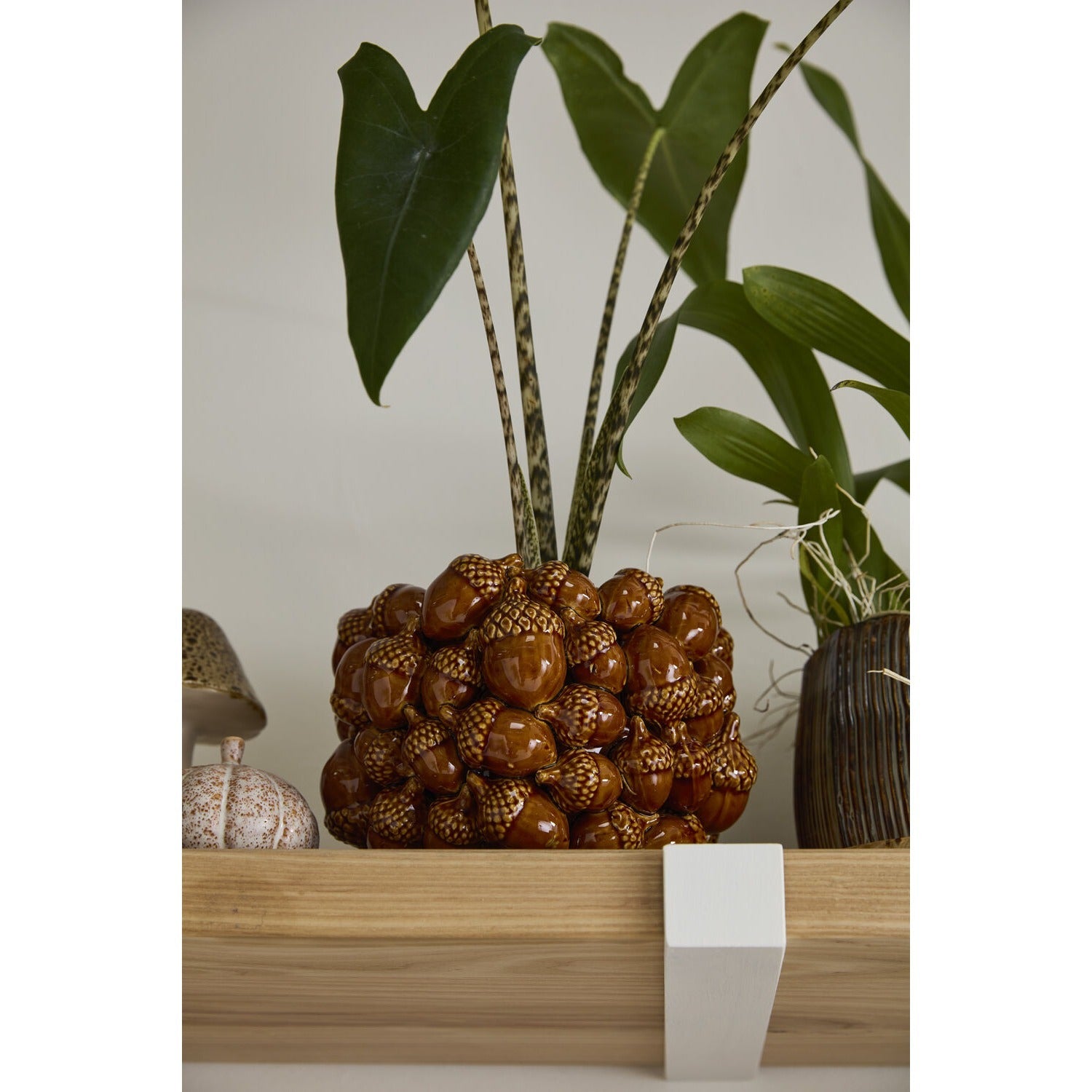 Acorn Pot