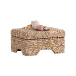 Island Shell Box