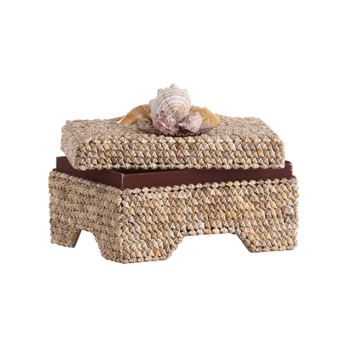 Island Shell Box