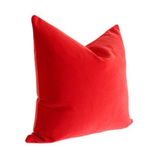 Flame Velvet (Last Chance)