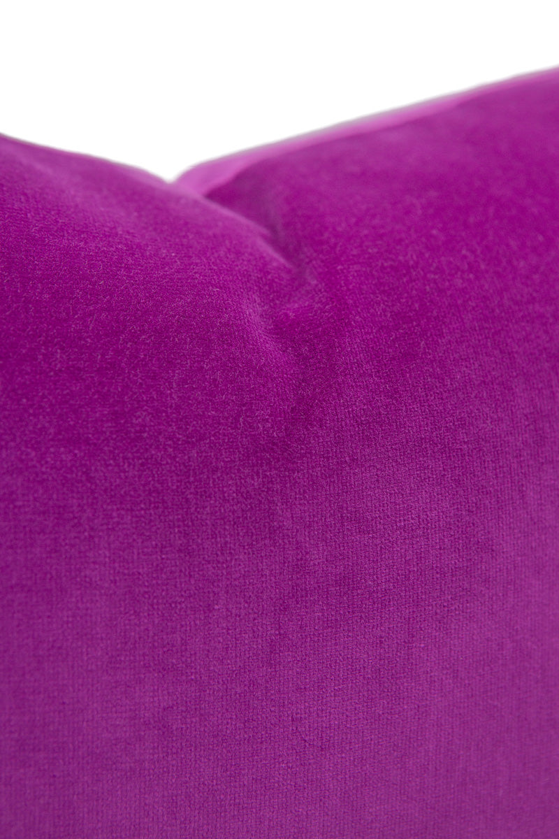 Orchid Velvet (Last Chance)