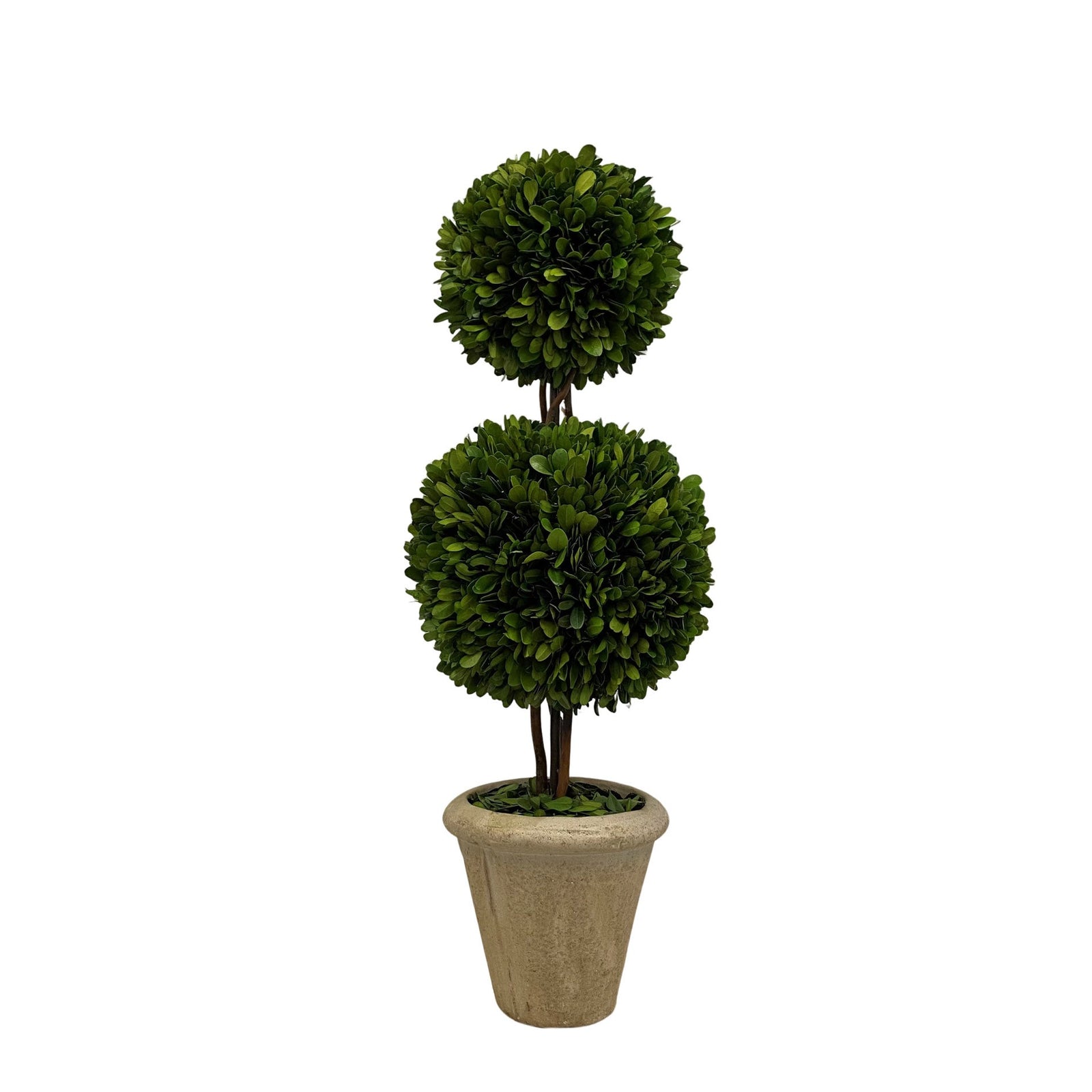 DOUBLE BALL TOPIARY