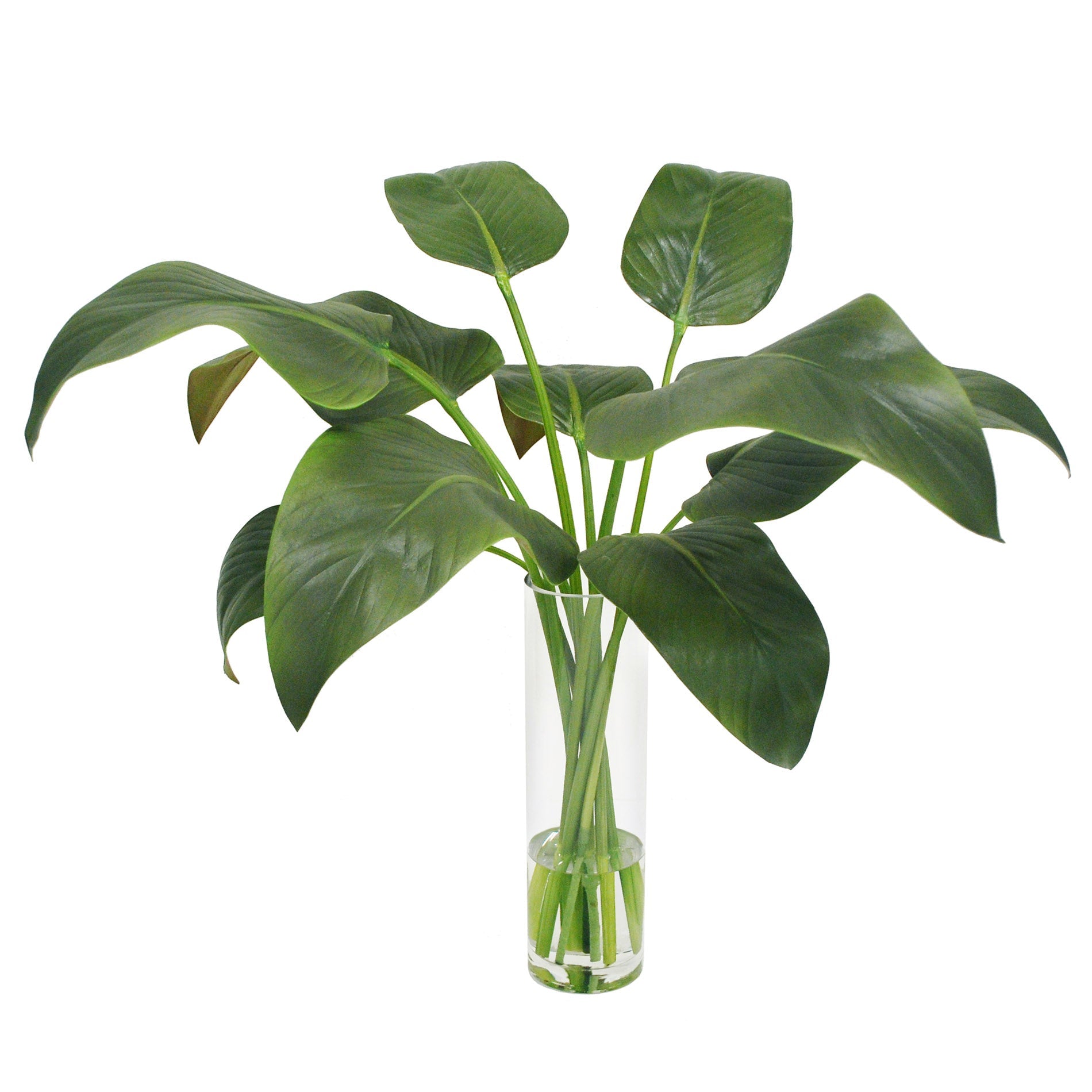 CALLA LEAF IN SLIM ROUND VASE 25'' (GREEN)