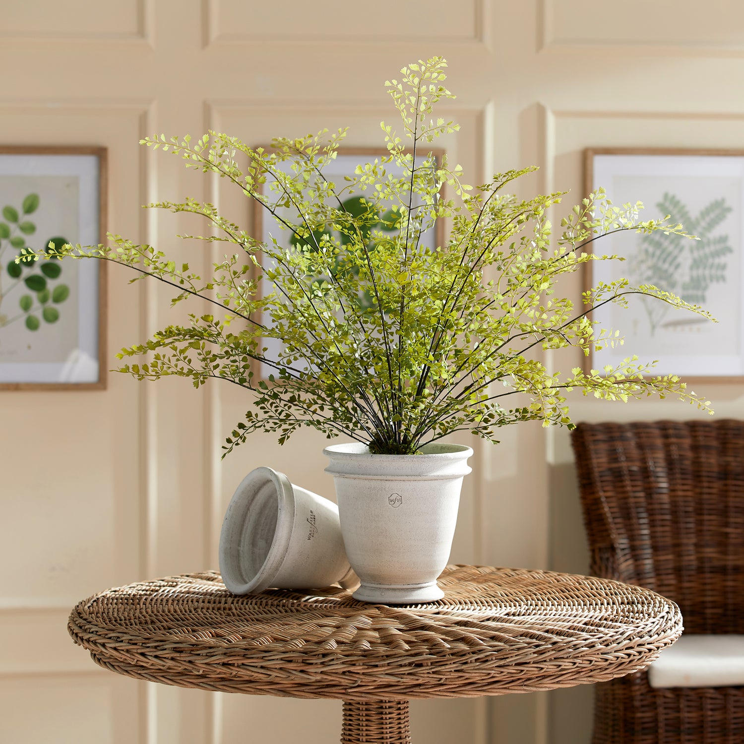 Creating Outdoor Serenity: Transform Your Balcony into a Mini Oasis
