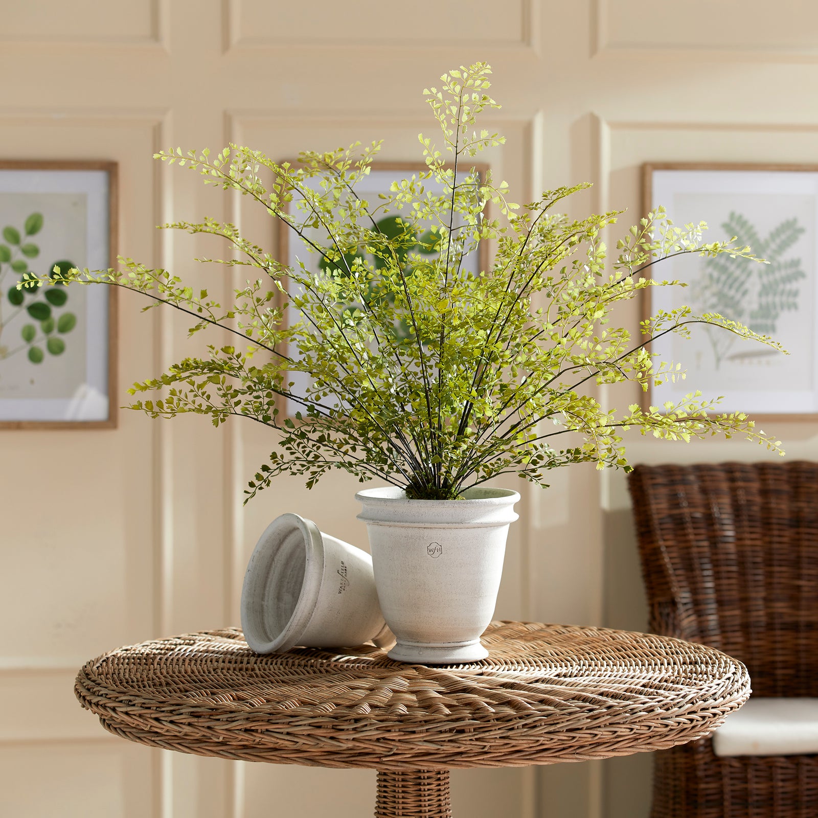 Creating Outdoor Serenity: Transform Your Balcony into a Mini Oasis