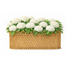 Jumbo Natural Oval Rattan Scalloped Planter