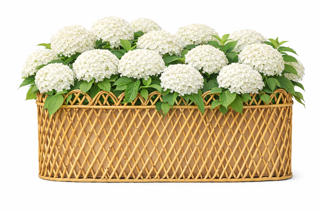 Jumbo Natural Rectangular Rattan Scalloped Planter