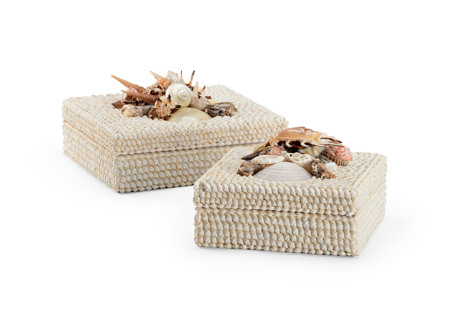 White Shell Boxes (S2)