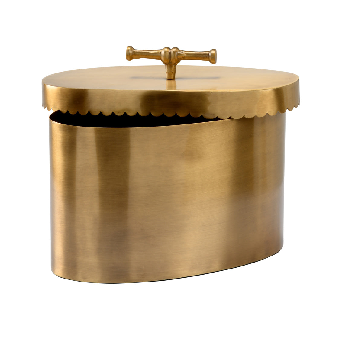 Buttercup Brass Box (Lg)