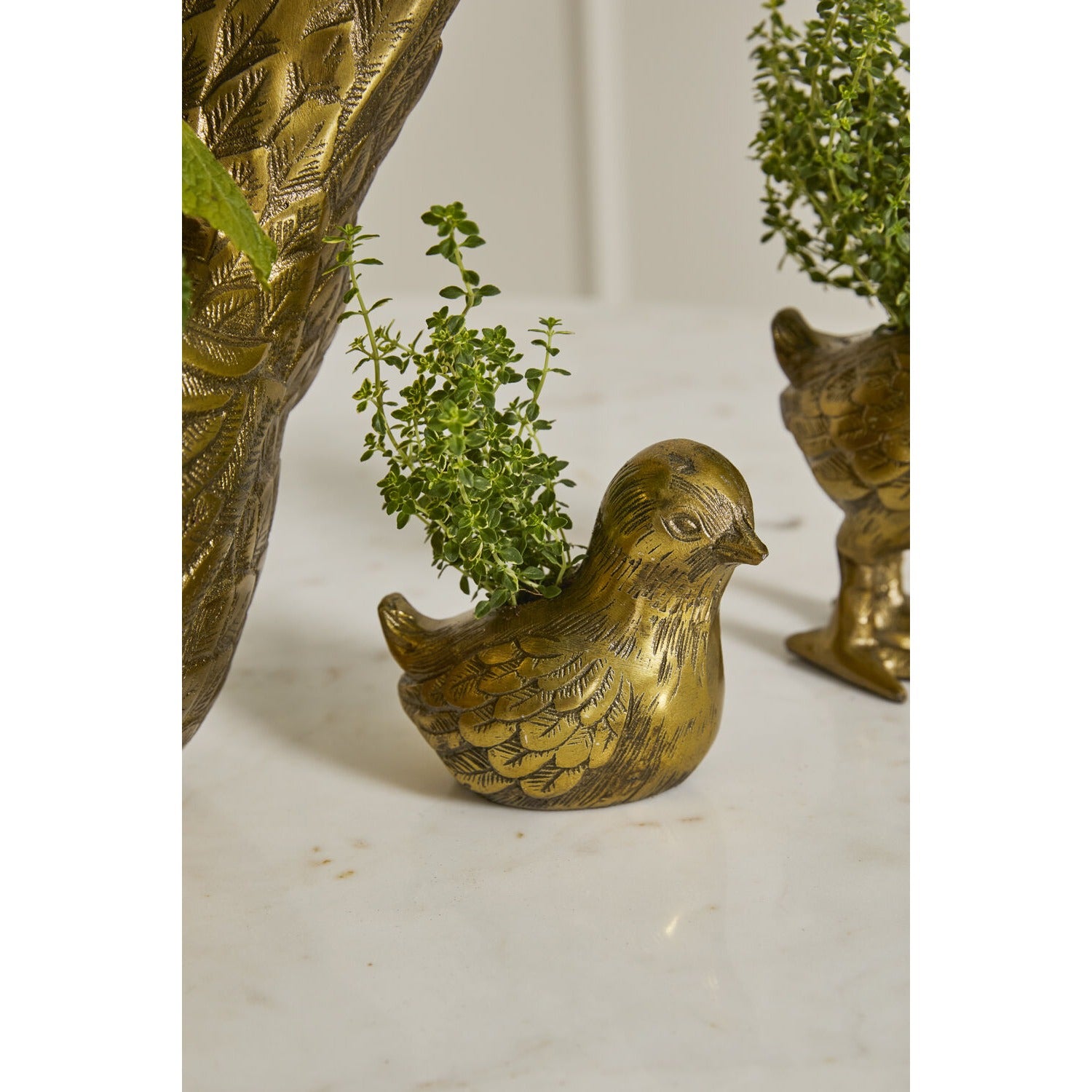 Spring Roost Collection
