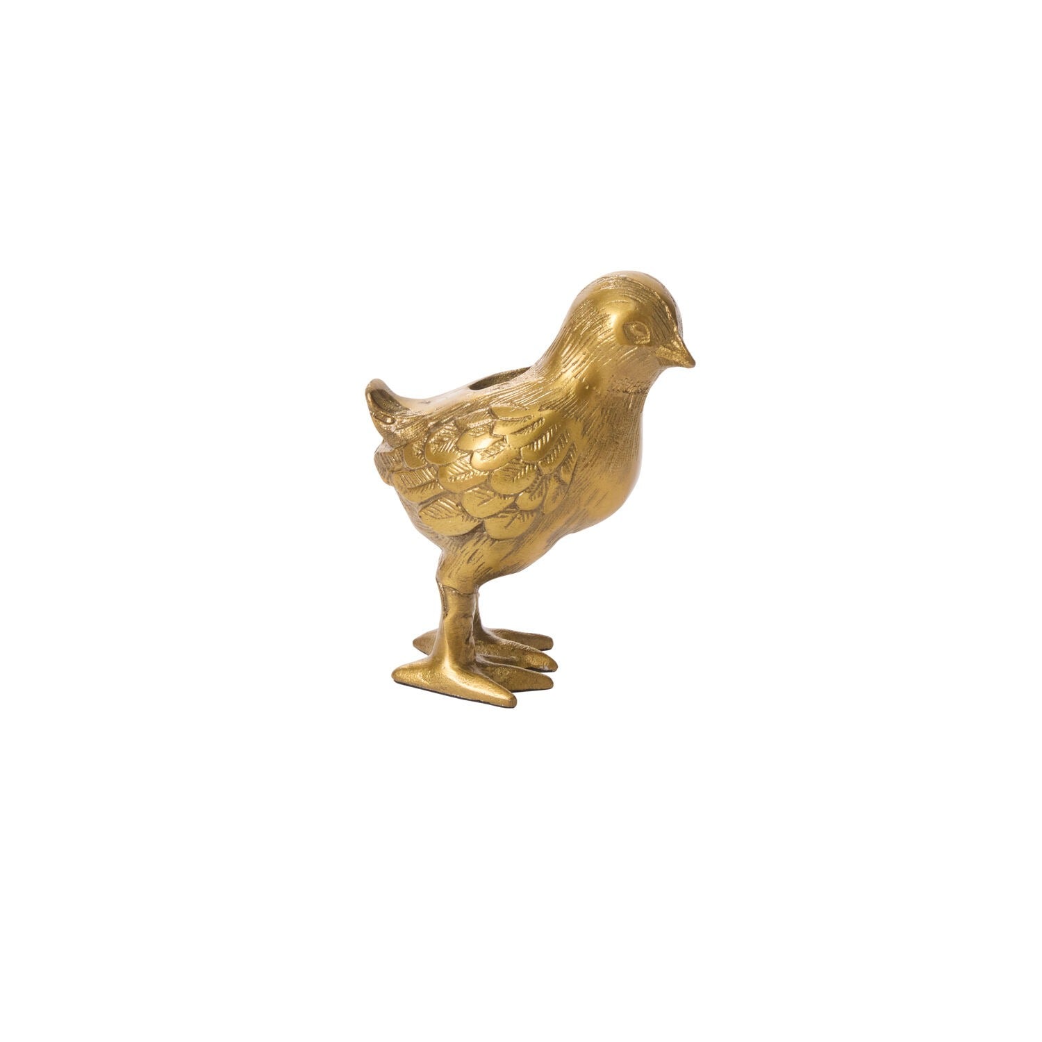 Spring Roost Collection