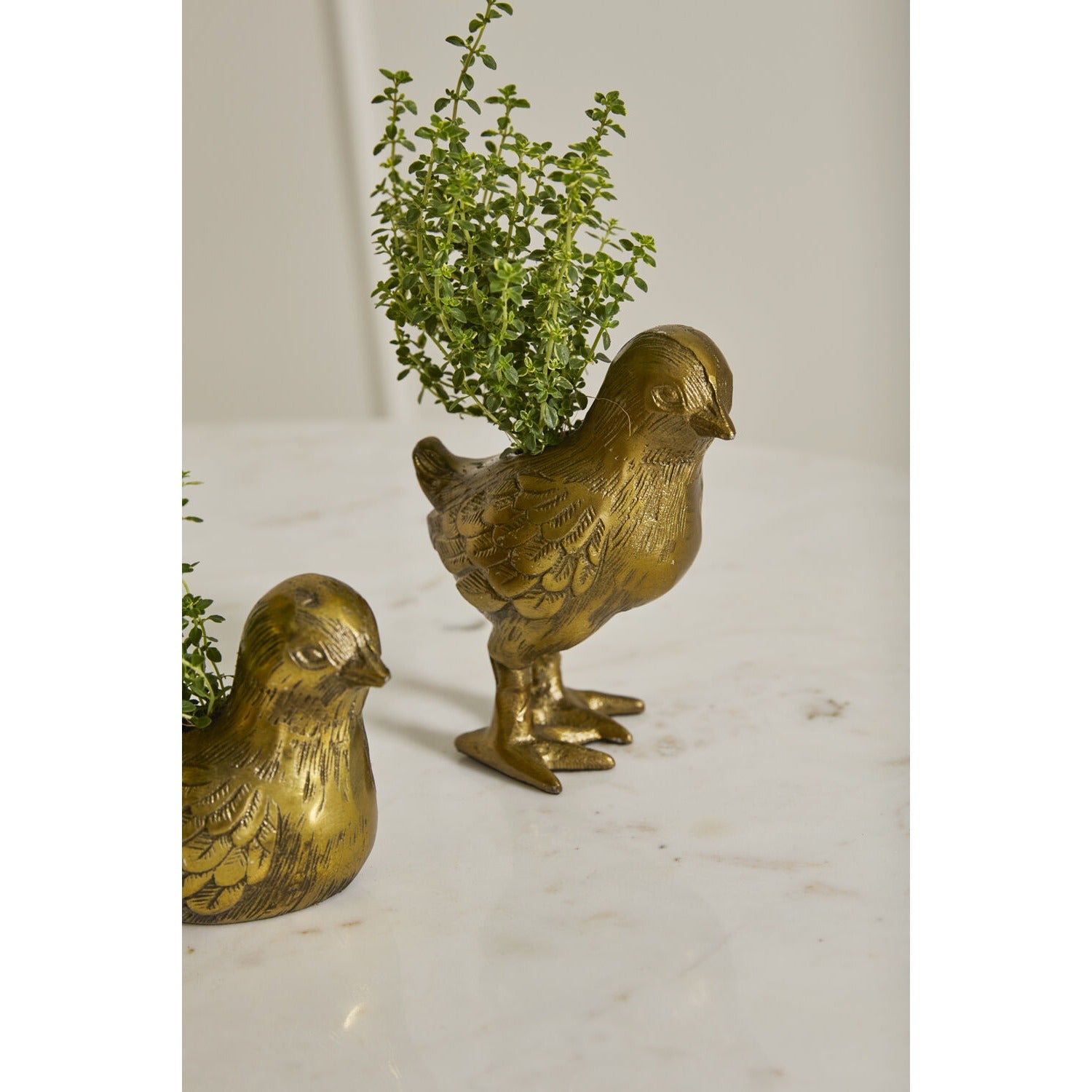 Spring Roost Collection