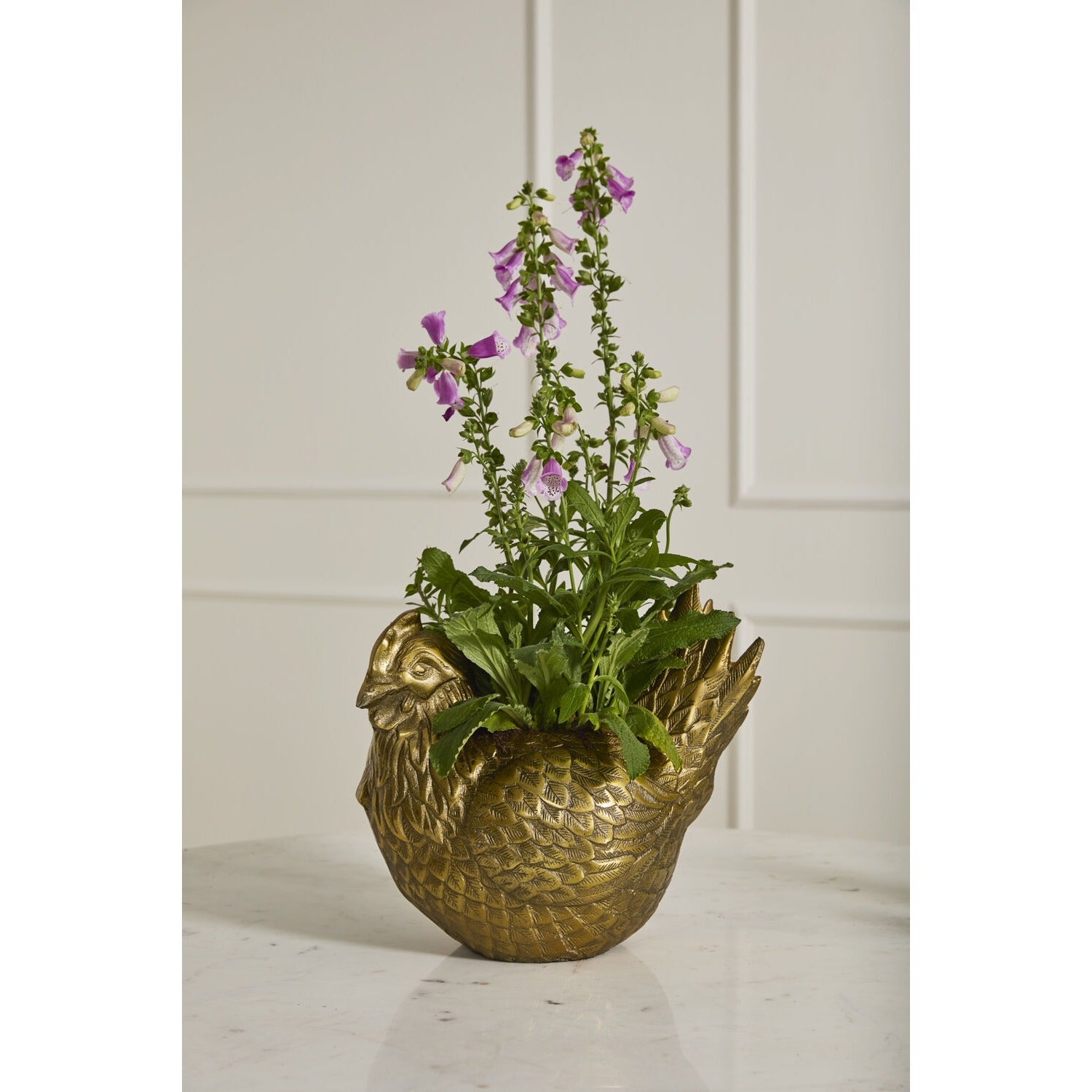 Spring Roost Collection