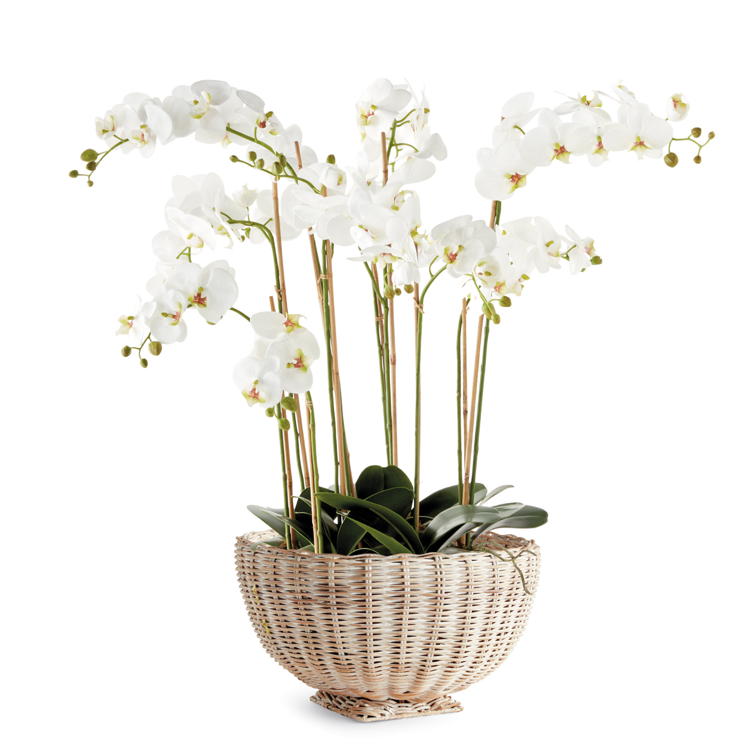 Chuck Rattan Footed Bowl Small