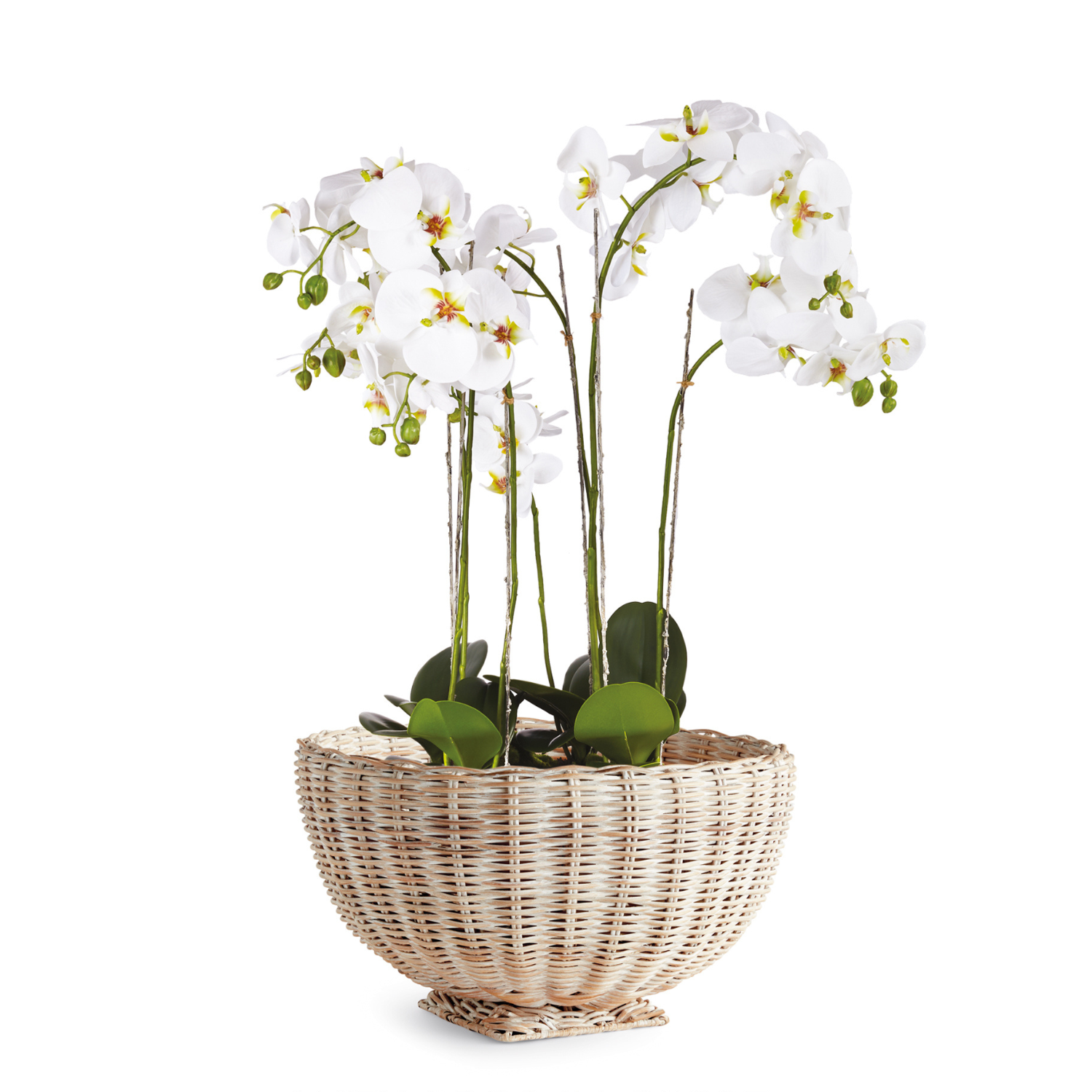 Chuck Rattan Footed Bowl Small
