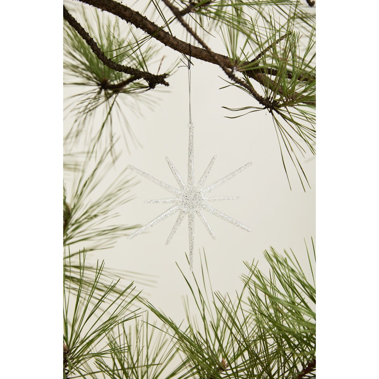 Glistening Star Ornament