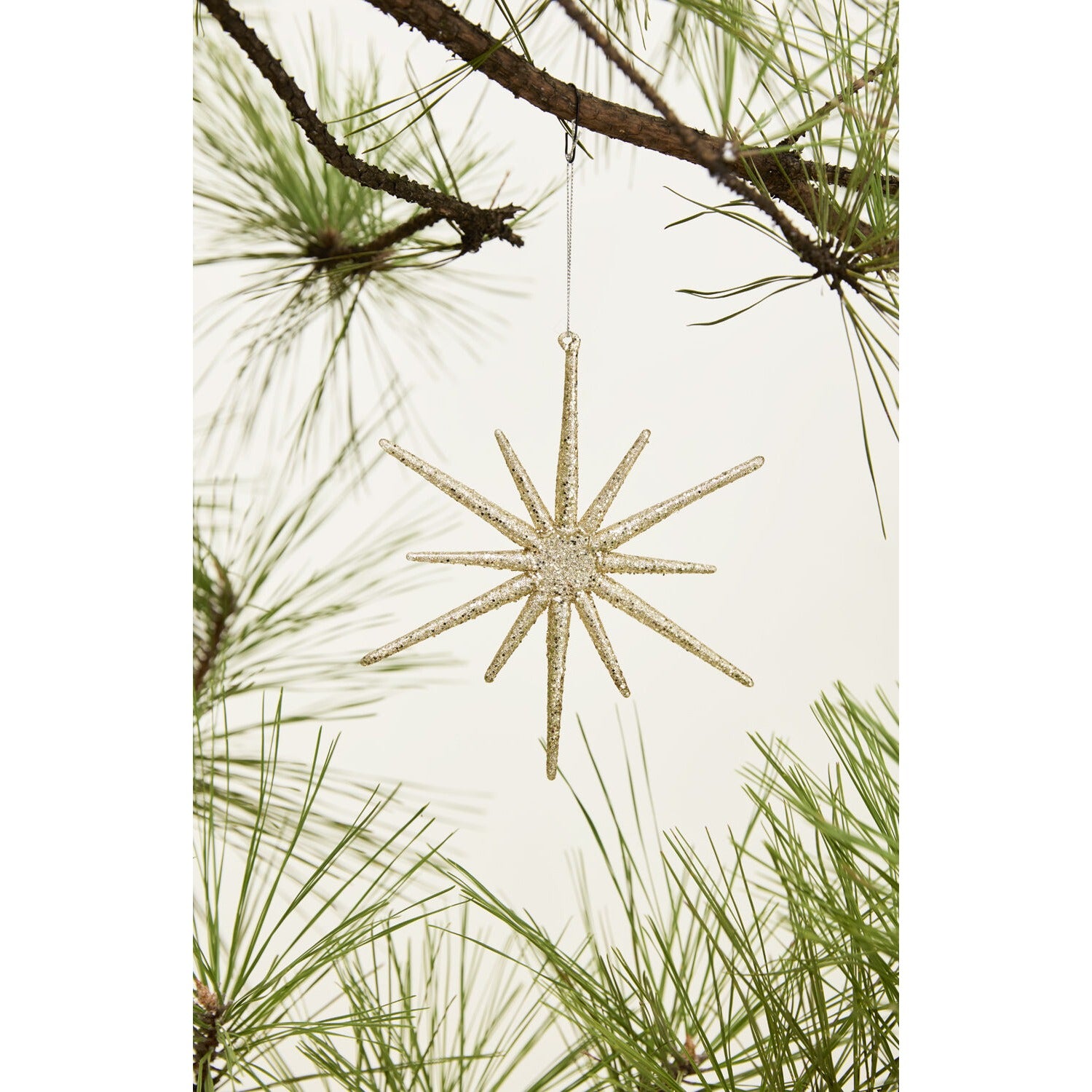 Glistening Star Ornament