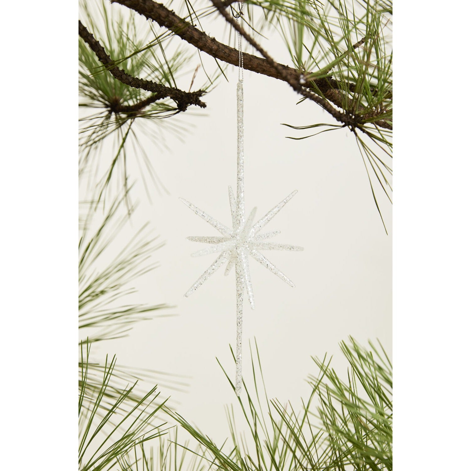 Glistening Star Ornament