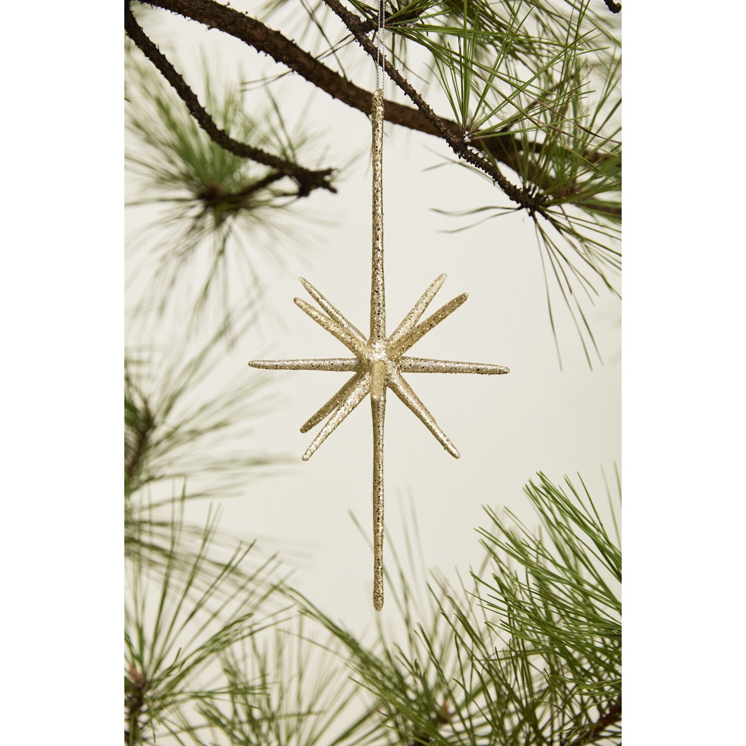 Glistening Star Ornament