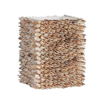 Shell Planter