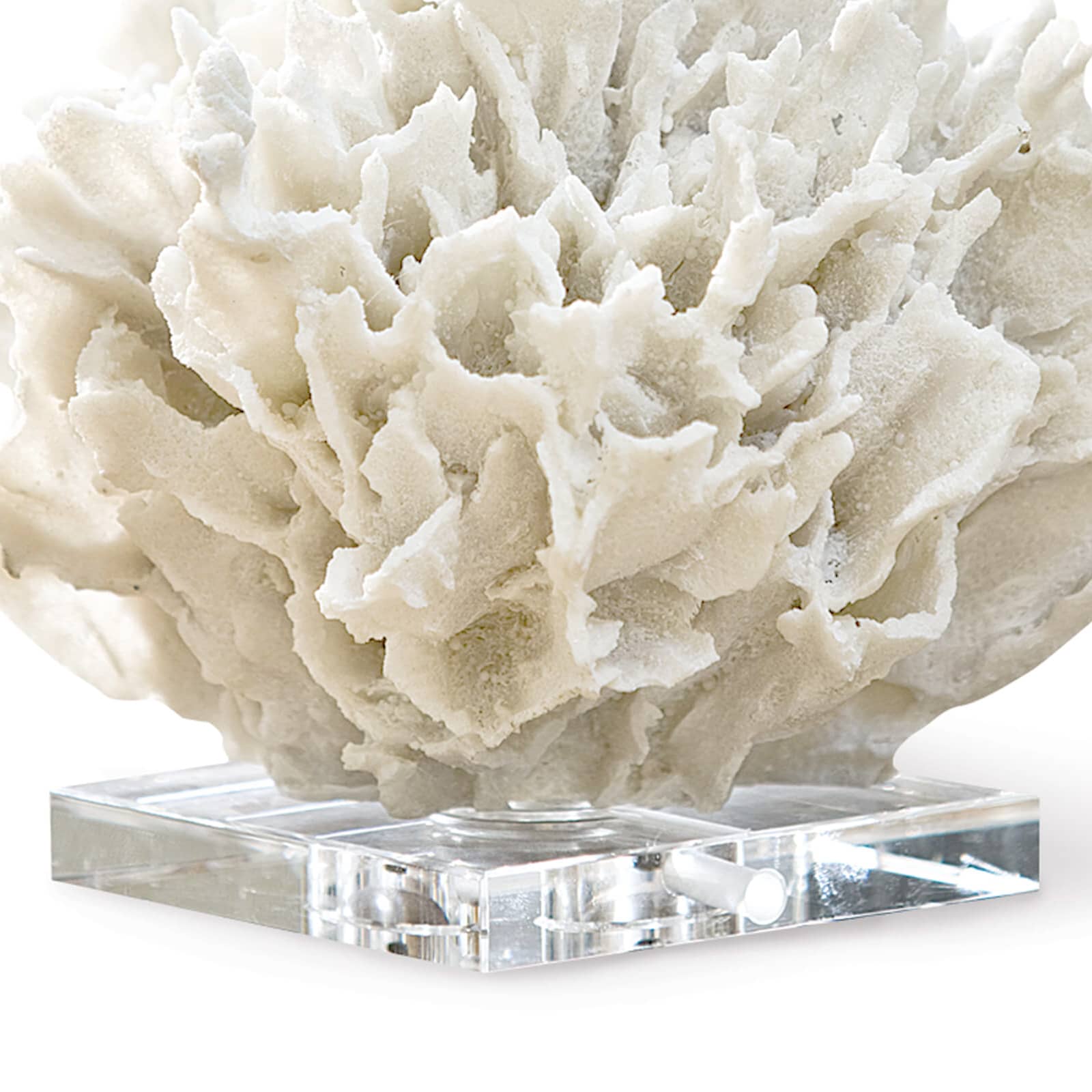 Ribbon Coral (White)