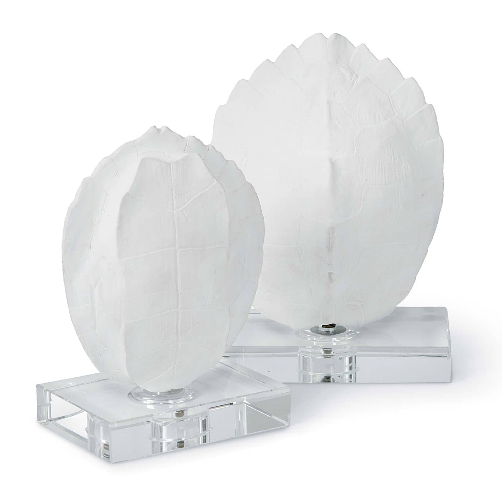 Turtle Shells On Crystal (Set of 2)