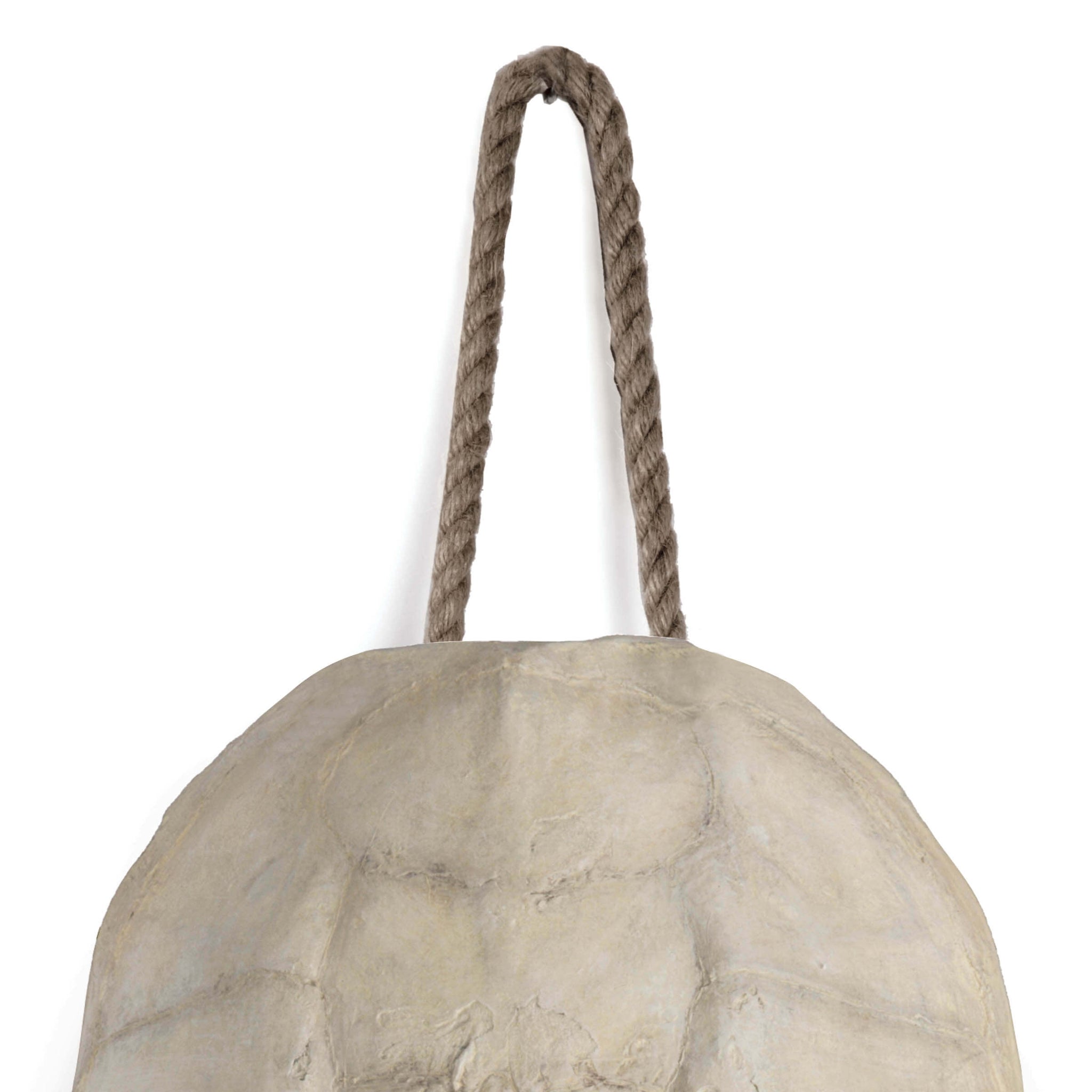 Turtle Shell Accessory (Bleached)